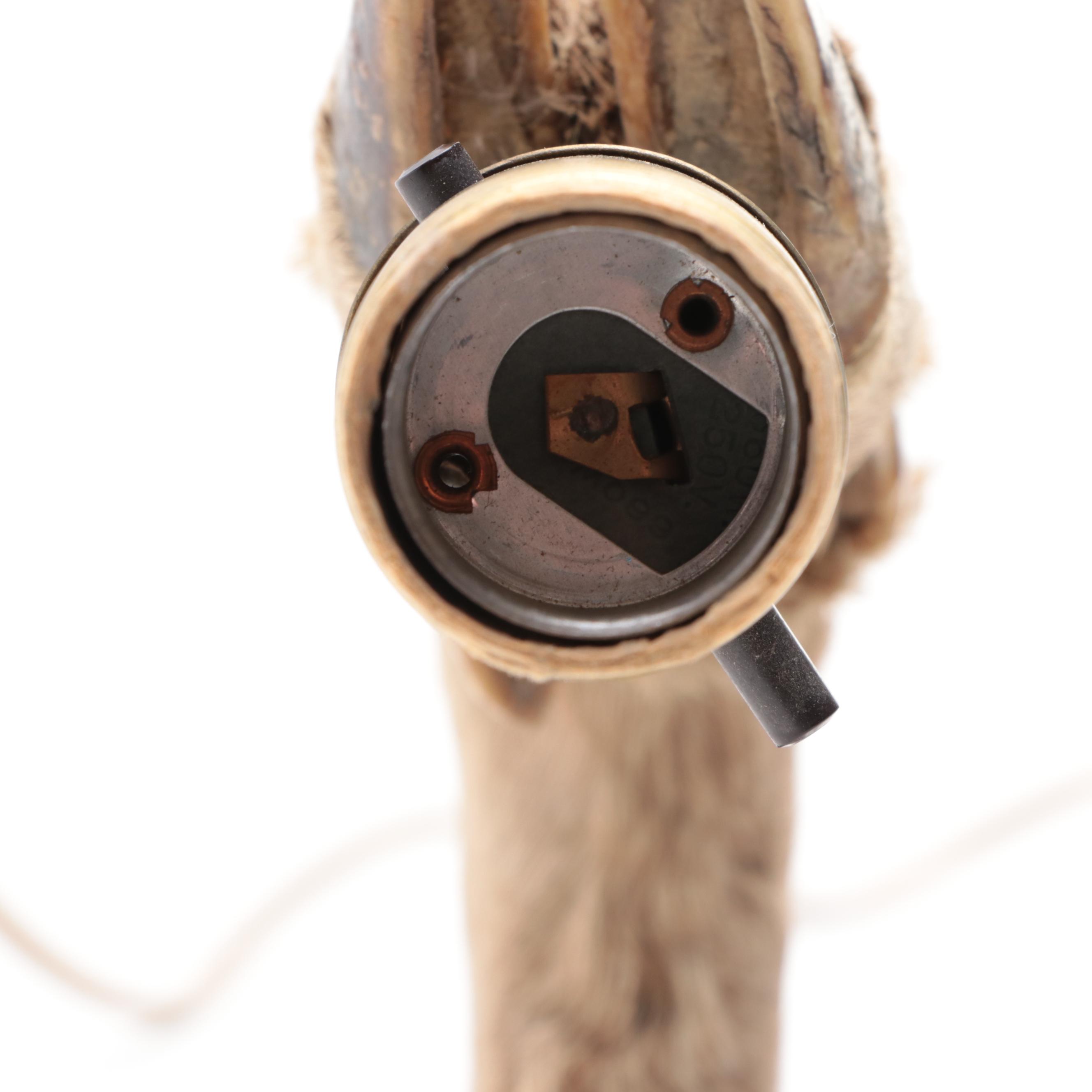 Taxidermy Deer Hoof Wall Lamp, Mid to Late 20th Century