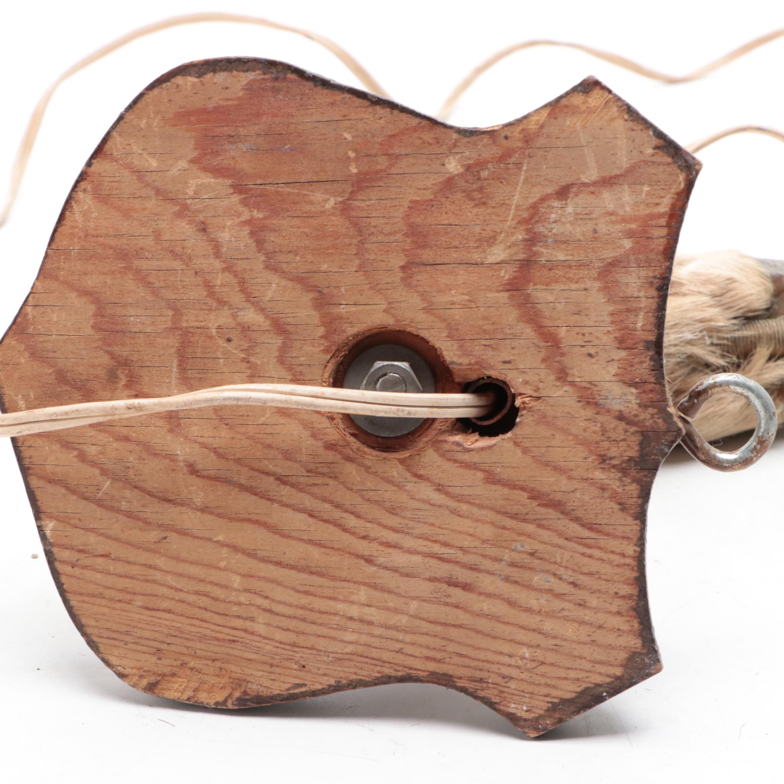 Taxidermy Deer Hoof Wall Lamp, Mid to Late 20th Century