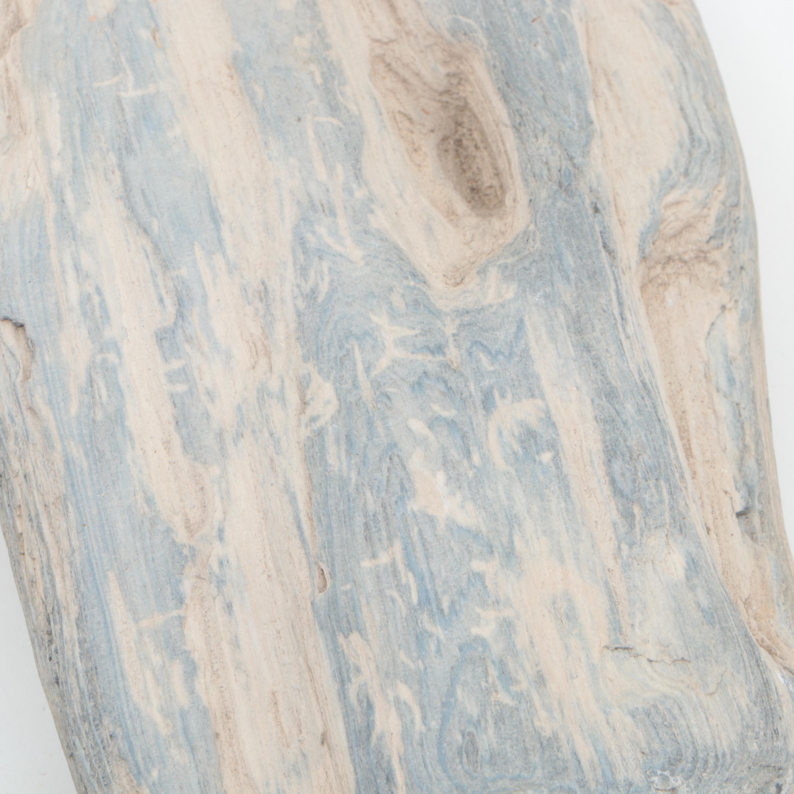 Petrified Wood Specimens