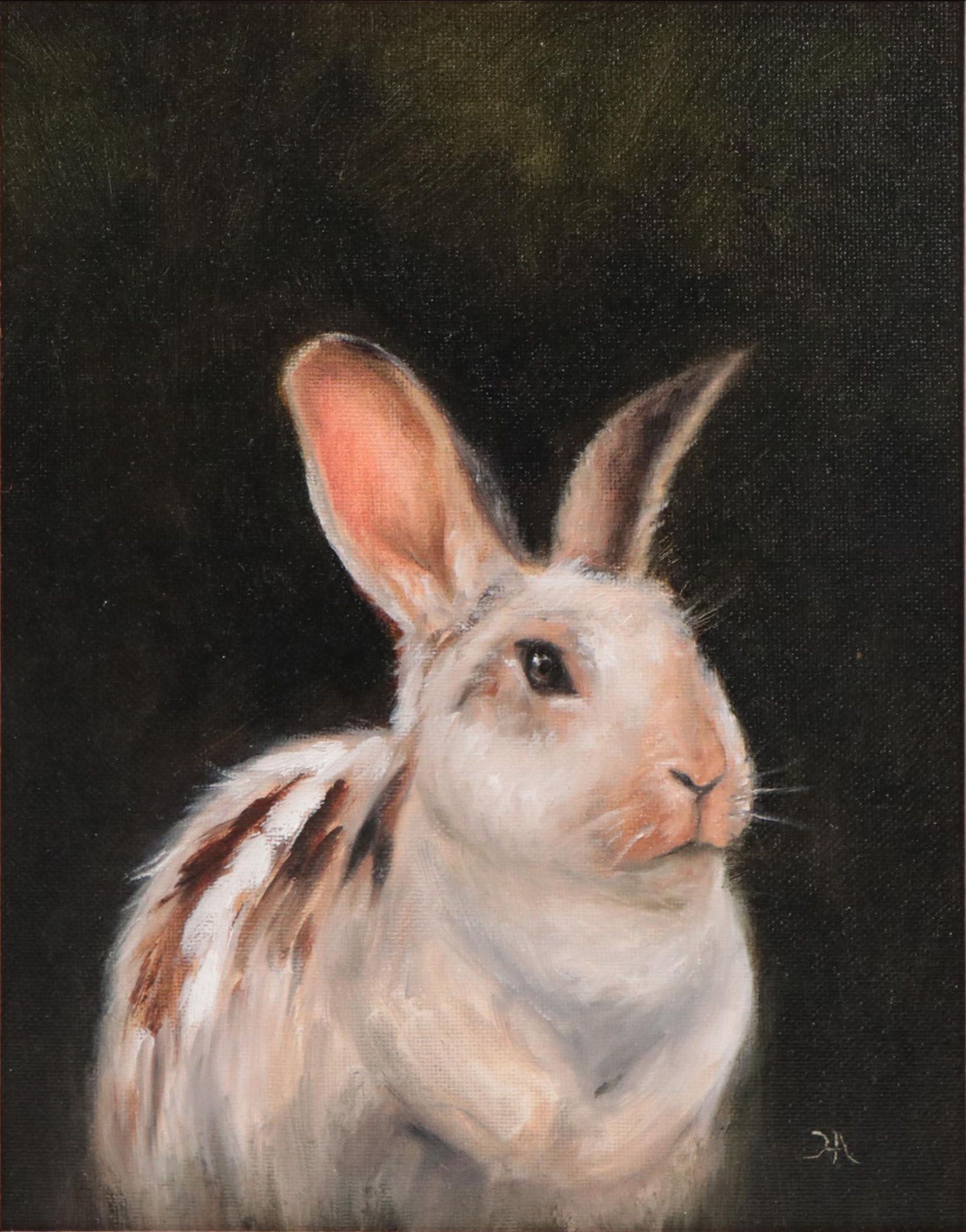Houra H. Alghizzi Oil Painting "Bella the Bunny," 2023