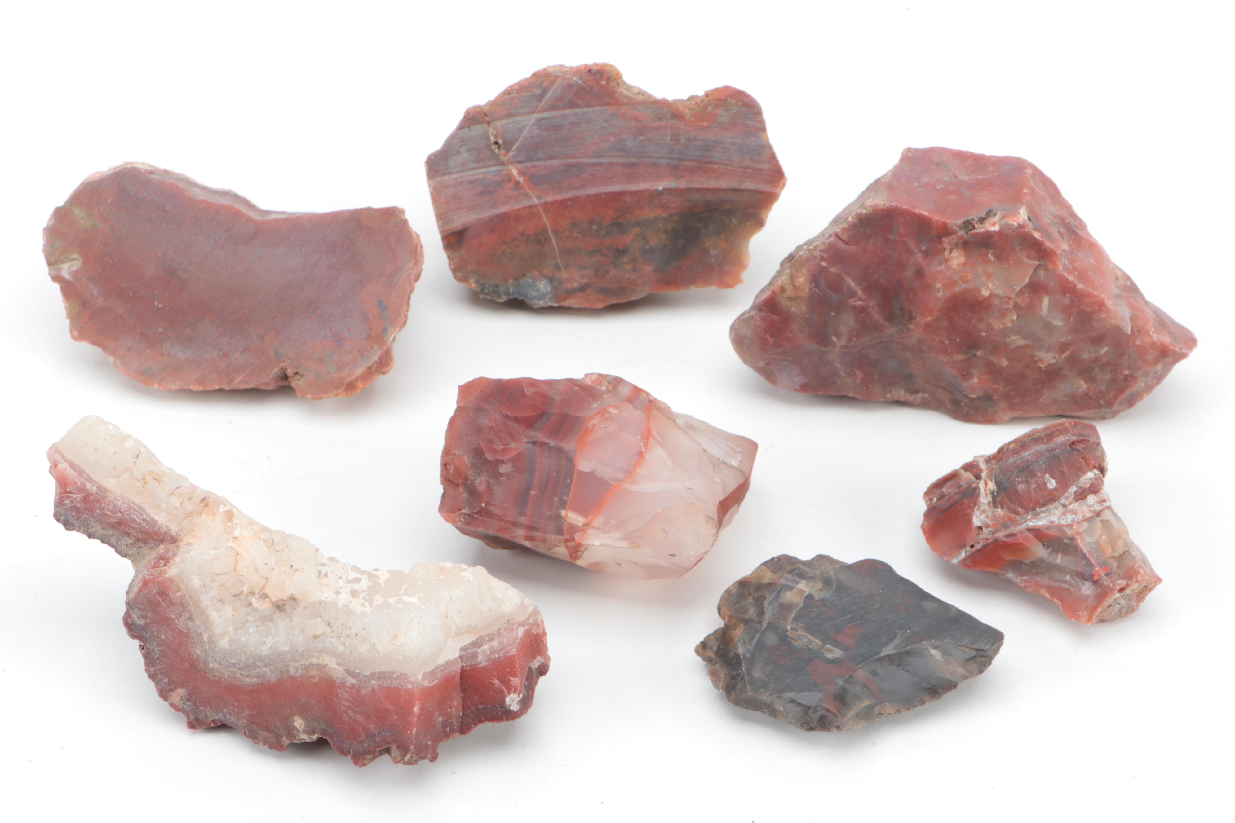 Polished Carnelian Agate, Chalcedony and Other Mineral Specimens