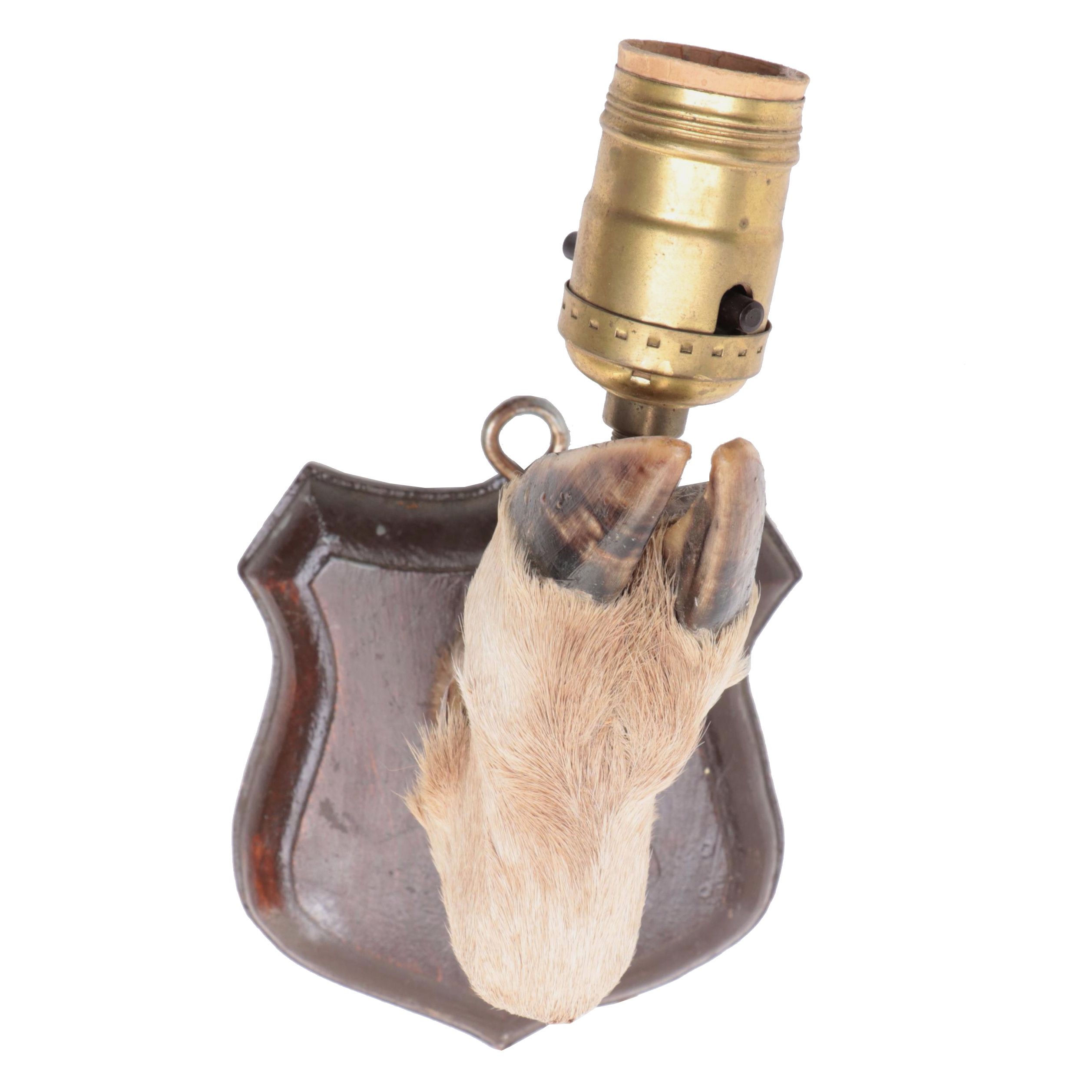 Taxidermy Deer Hoof Wall Lamp, Mid to Late 20th Century