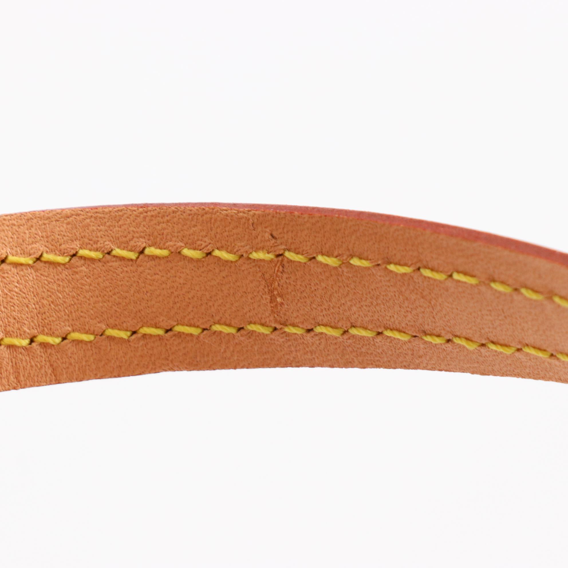 Louis Vuitton Baxter MM Pet Leash in Monogram Canvas and Leather with Box