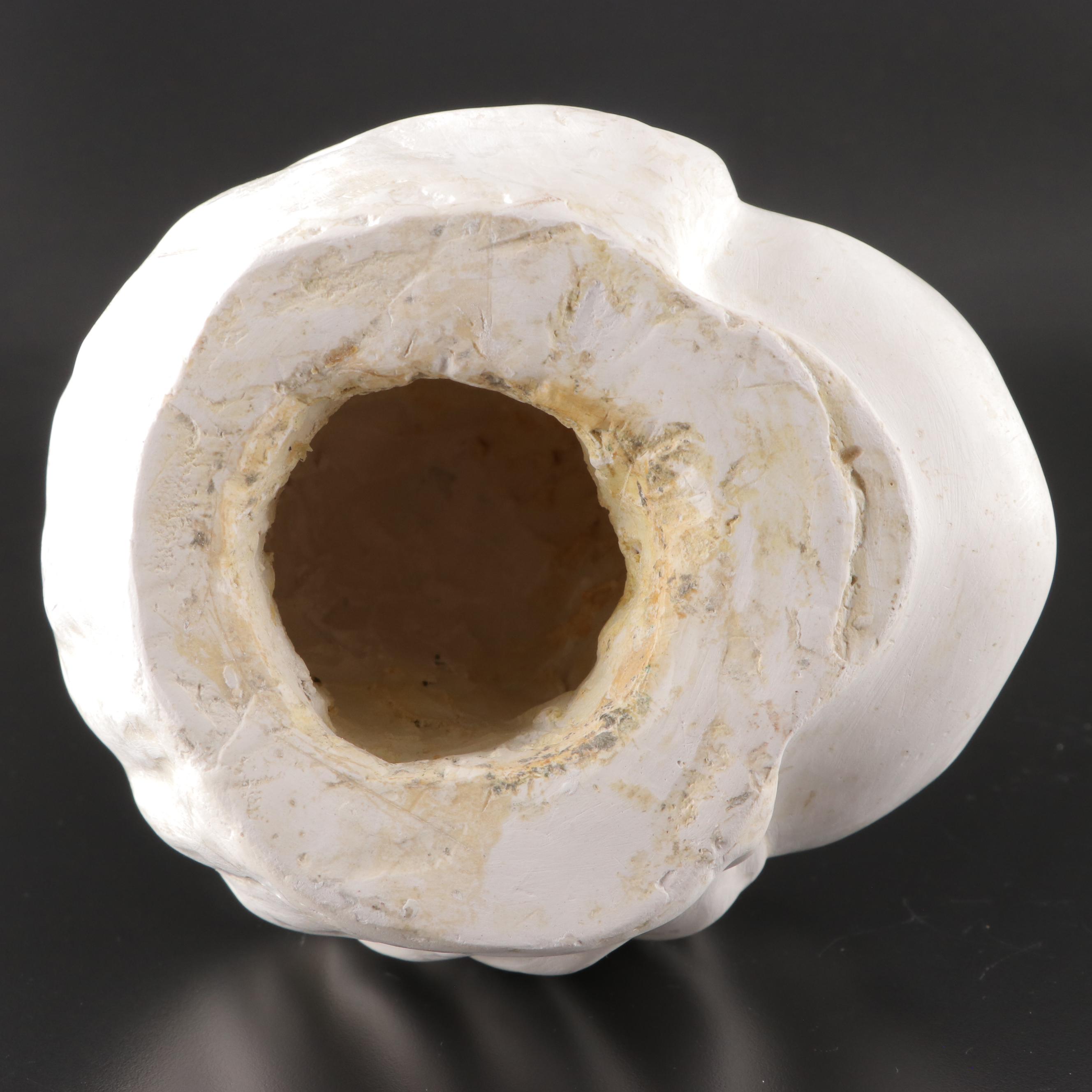 Cast Plaster Bust, Mid to Late 20th Century