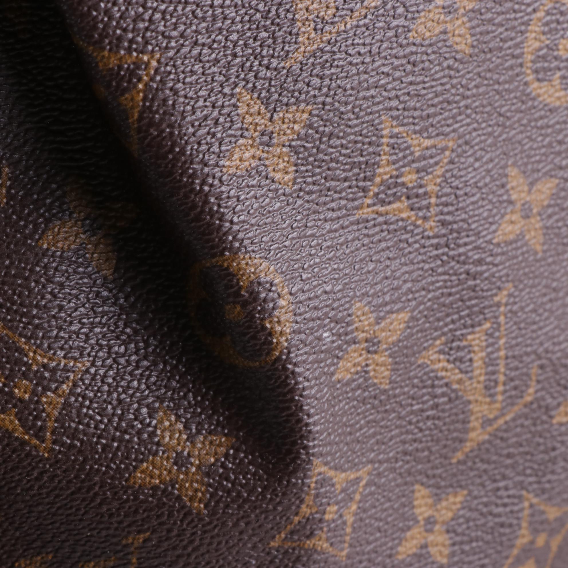 Louis Vuitton Palermo GM Bag in Monogram Canvas and Leather