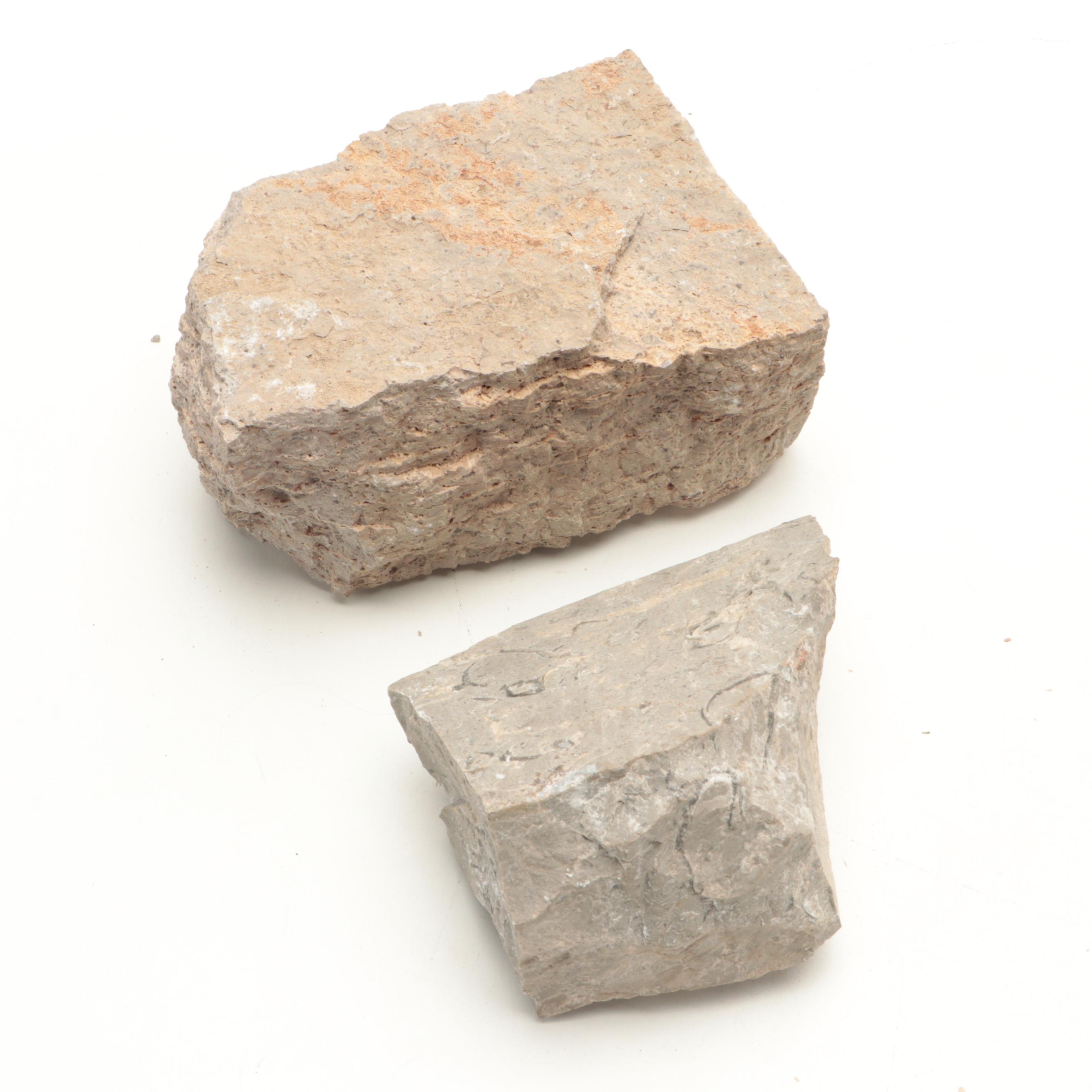 Rough Rhyolite, Dolostone, Basalt, and Other Mineral Specimens