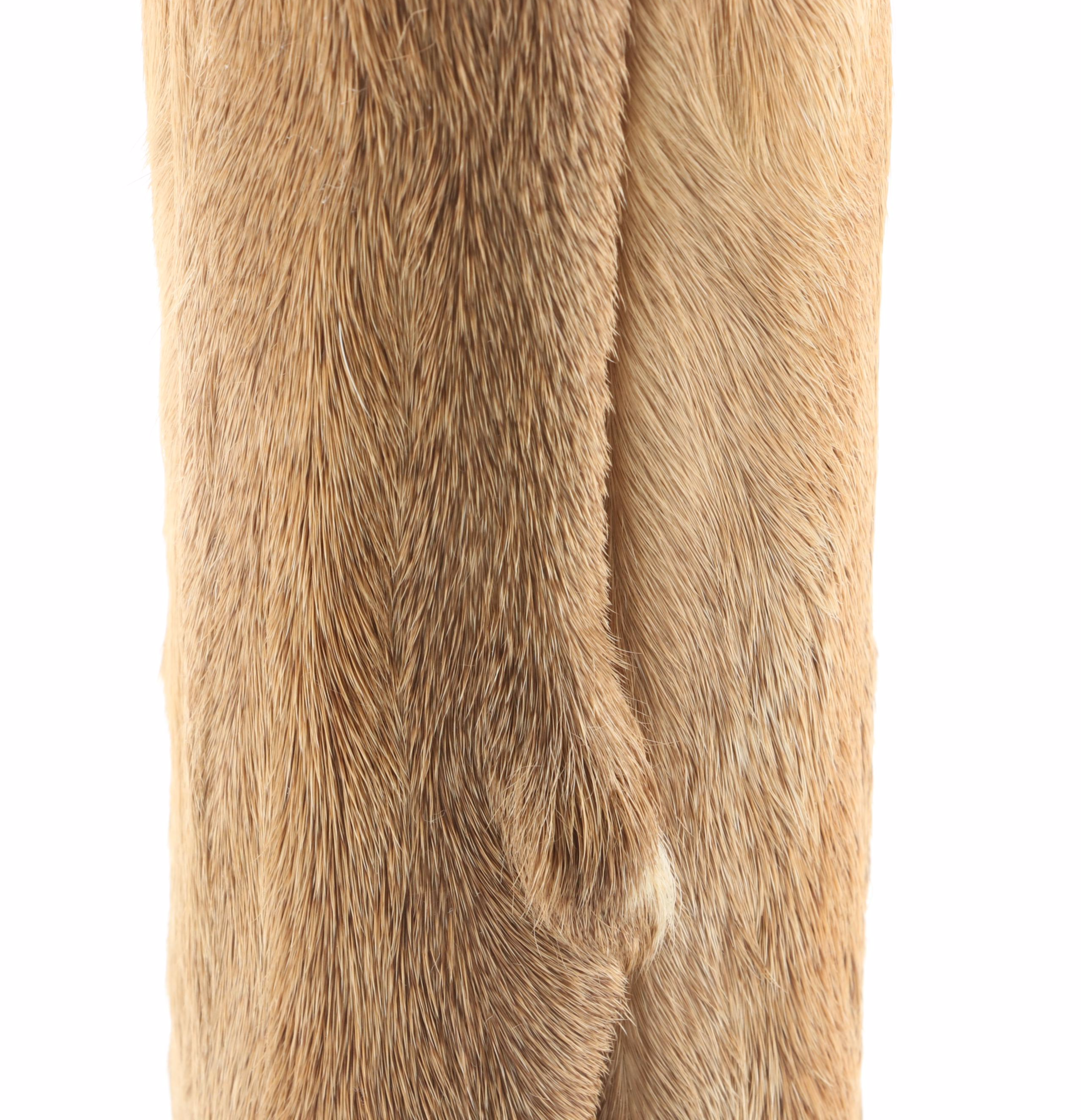 Taxidermy Deer Hooves Table Lamp, Mid to Late 20th Century