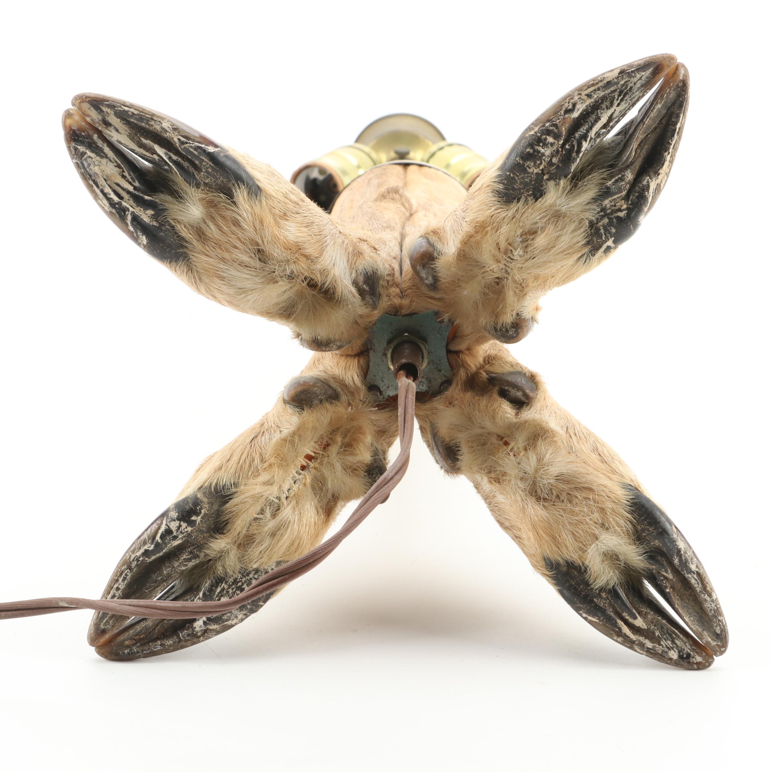 Taxidermy Deer Hooves Table Lamp, Mid to Late 20th Century