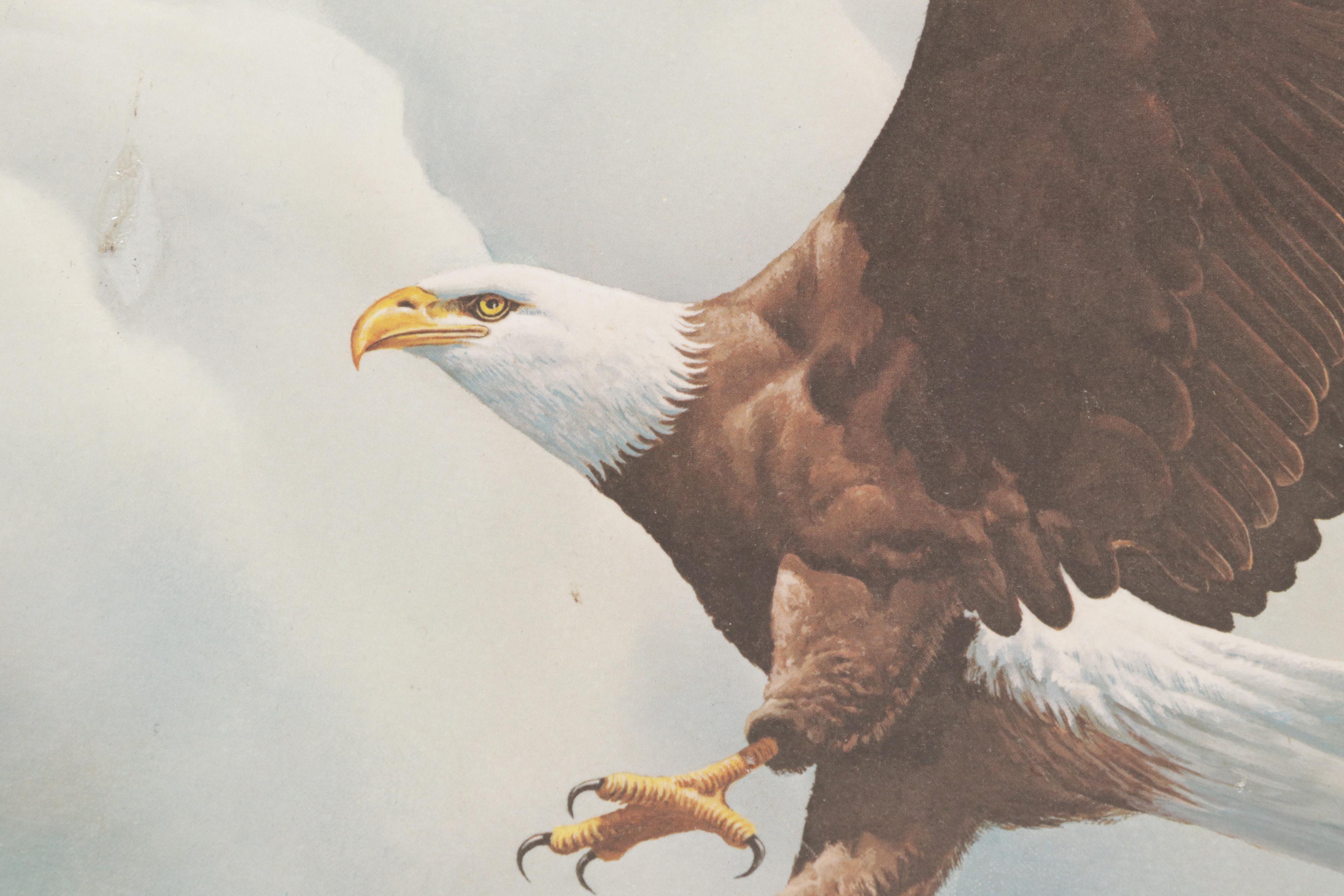 Ornithological Offset Lithograph Collection Featuring Ray Harm and Richard Sloan