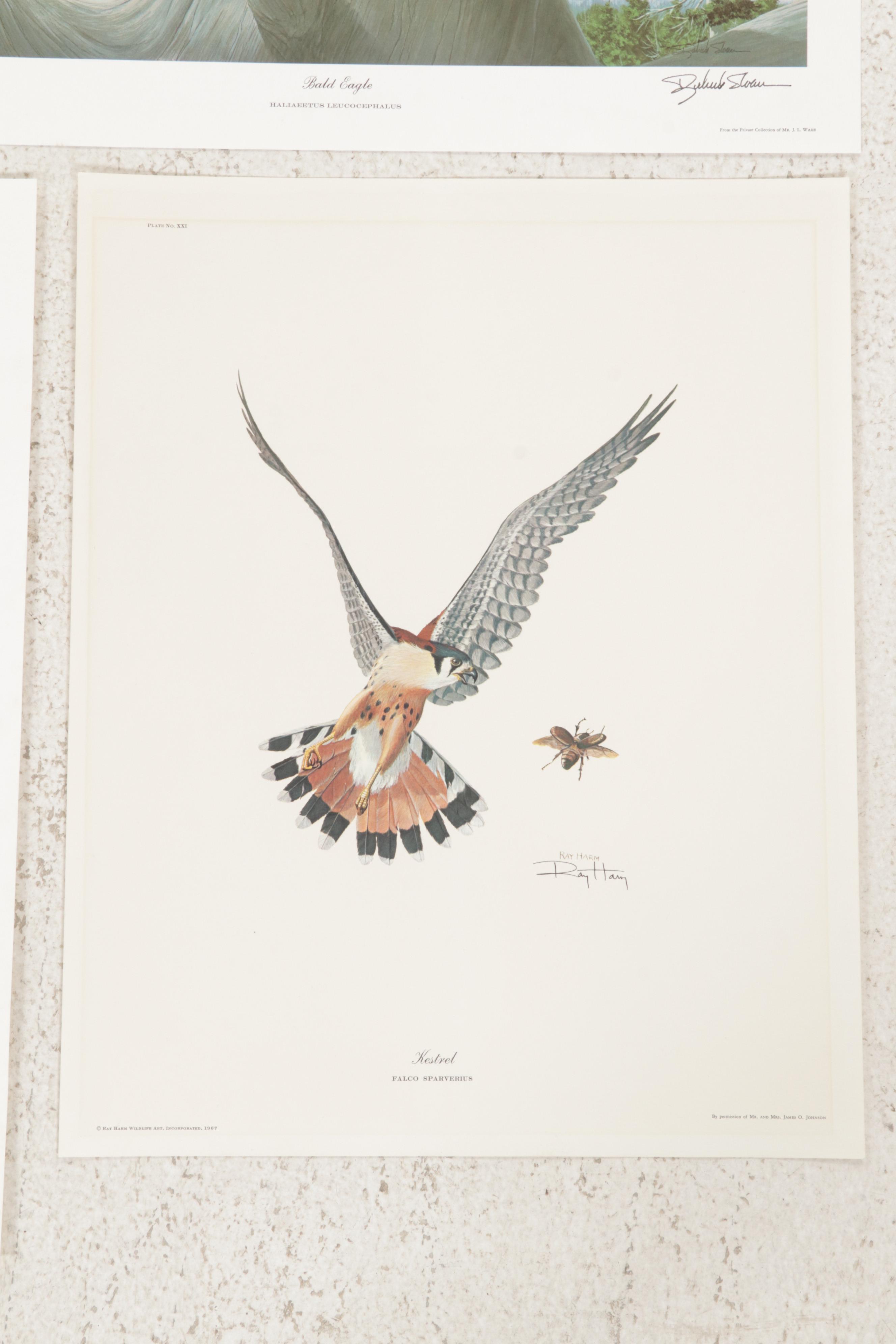 Ornithological Offset Lithograph Collection Featuring Ray Harm and Richard Sloan