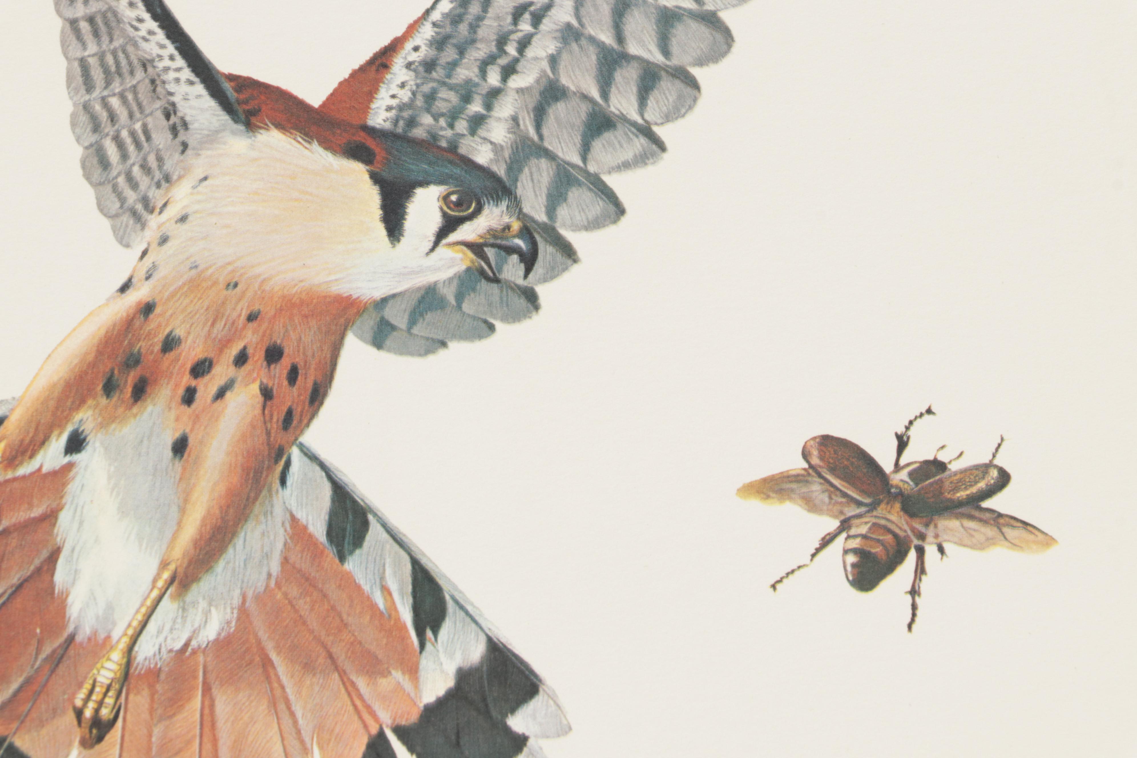 Ornithological Offset Lithograph Collection Featuring Ray Harm and Richard Sloan