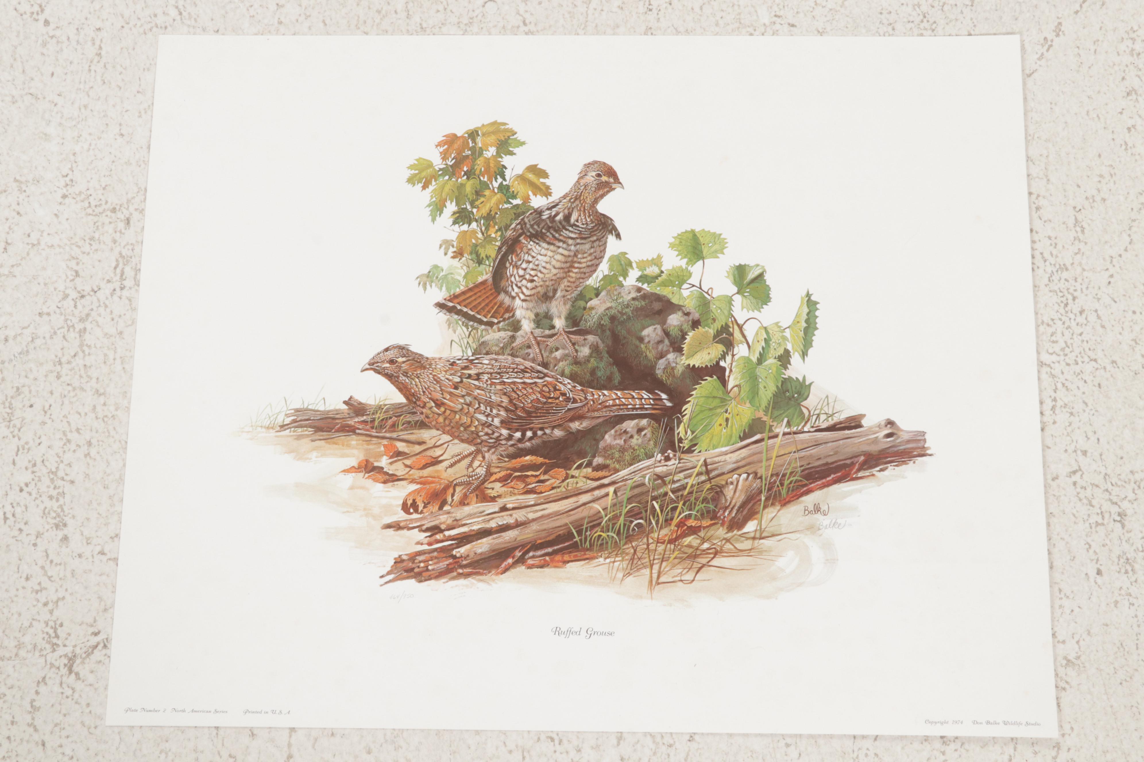 Ornithological Offset Lithograph Collection Featuring Ray Harm and Richard Sloan