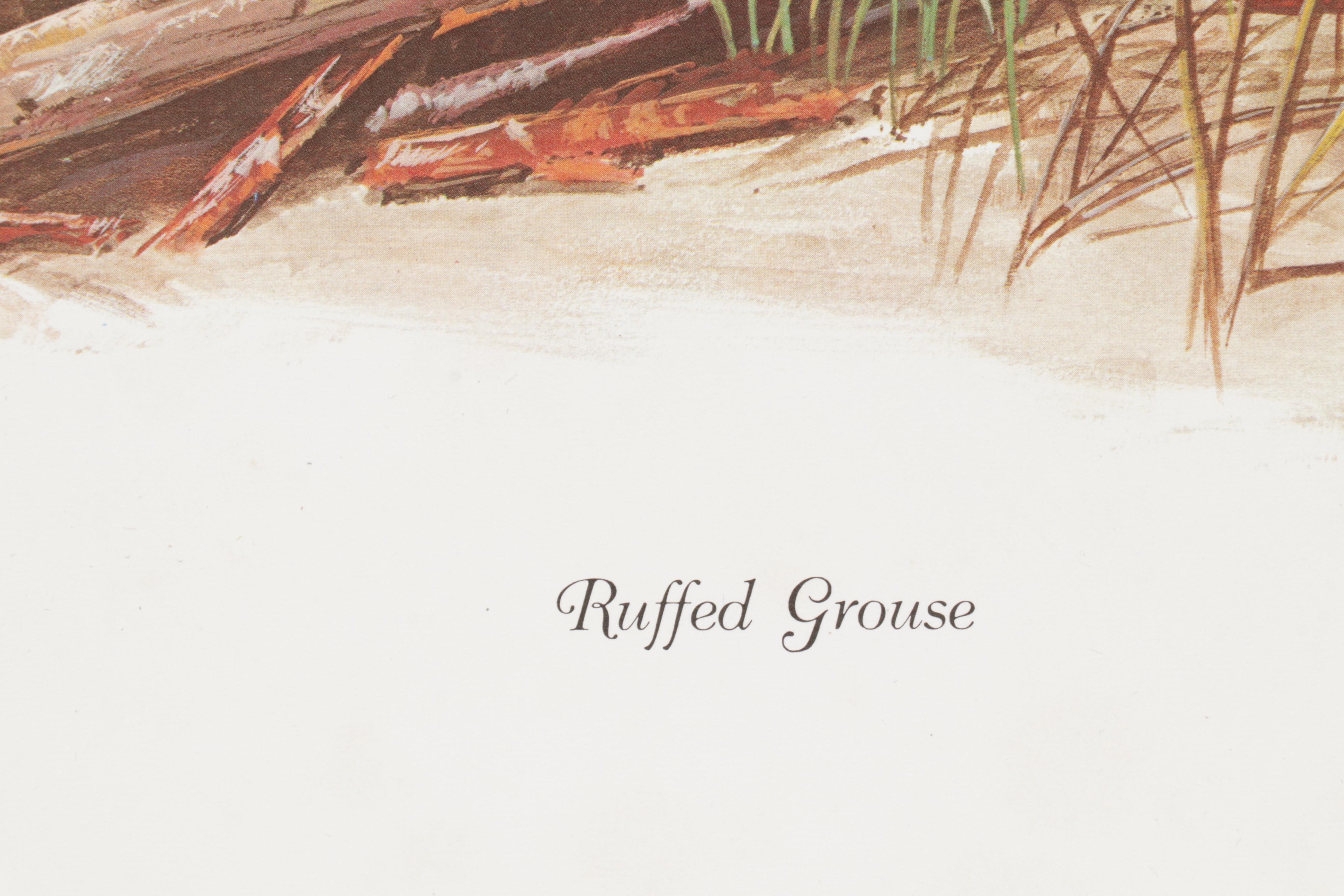 Ornithological Offset Lithograph Collection Featuring Ray Harm and Richard Sloan