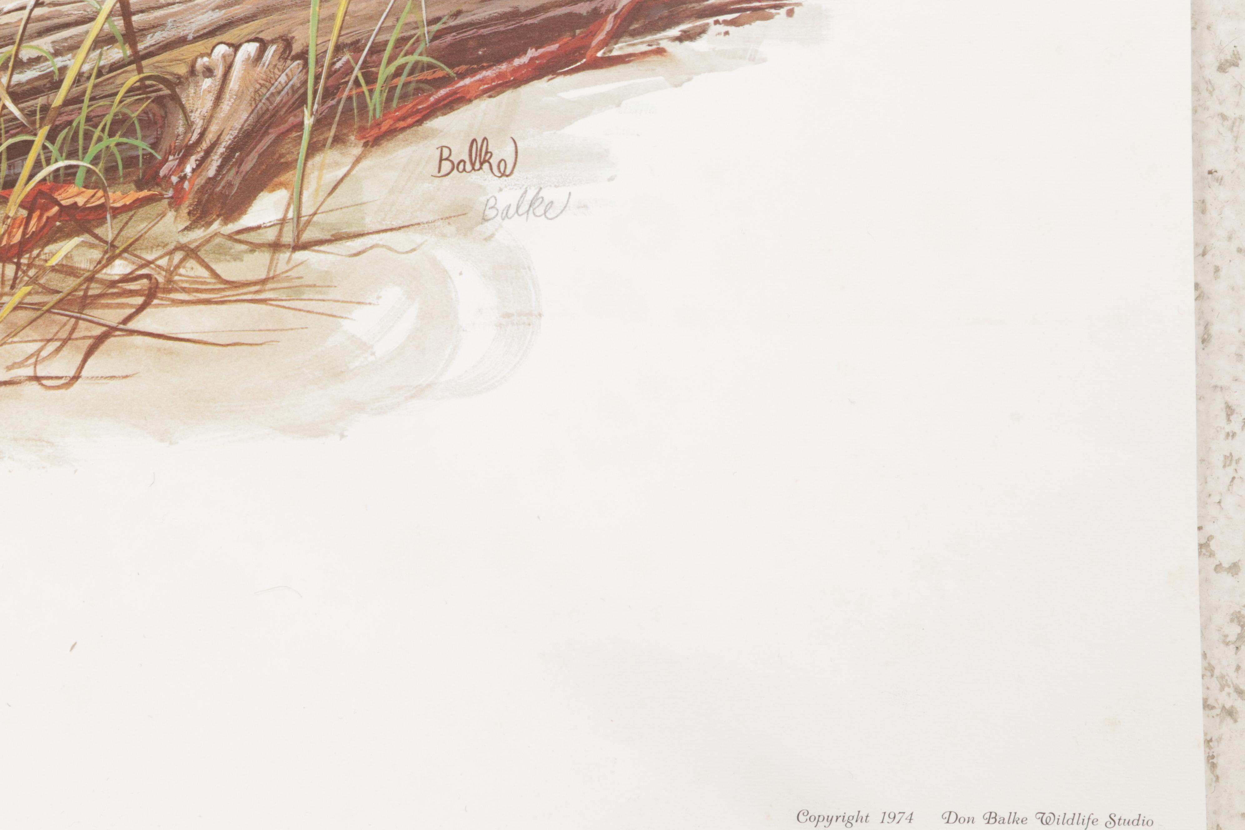 Ornithological Offset Lithograph Collection Featuring Ray Harm and Richard Sloan