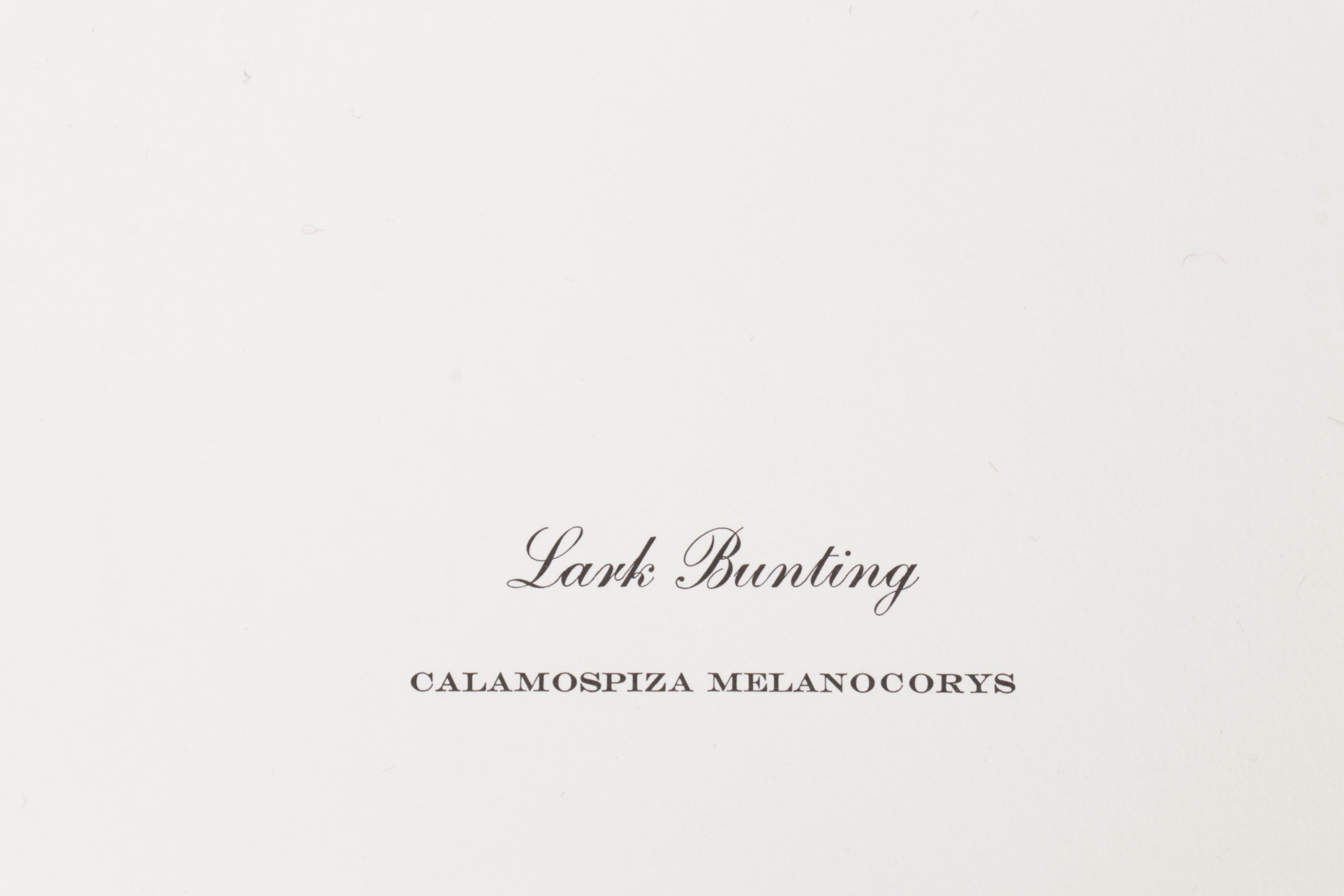 Ornithological Offset Lithograph Collection Featuring Ray Harm and Richard Sloan