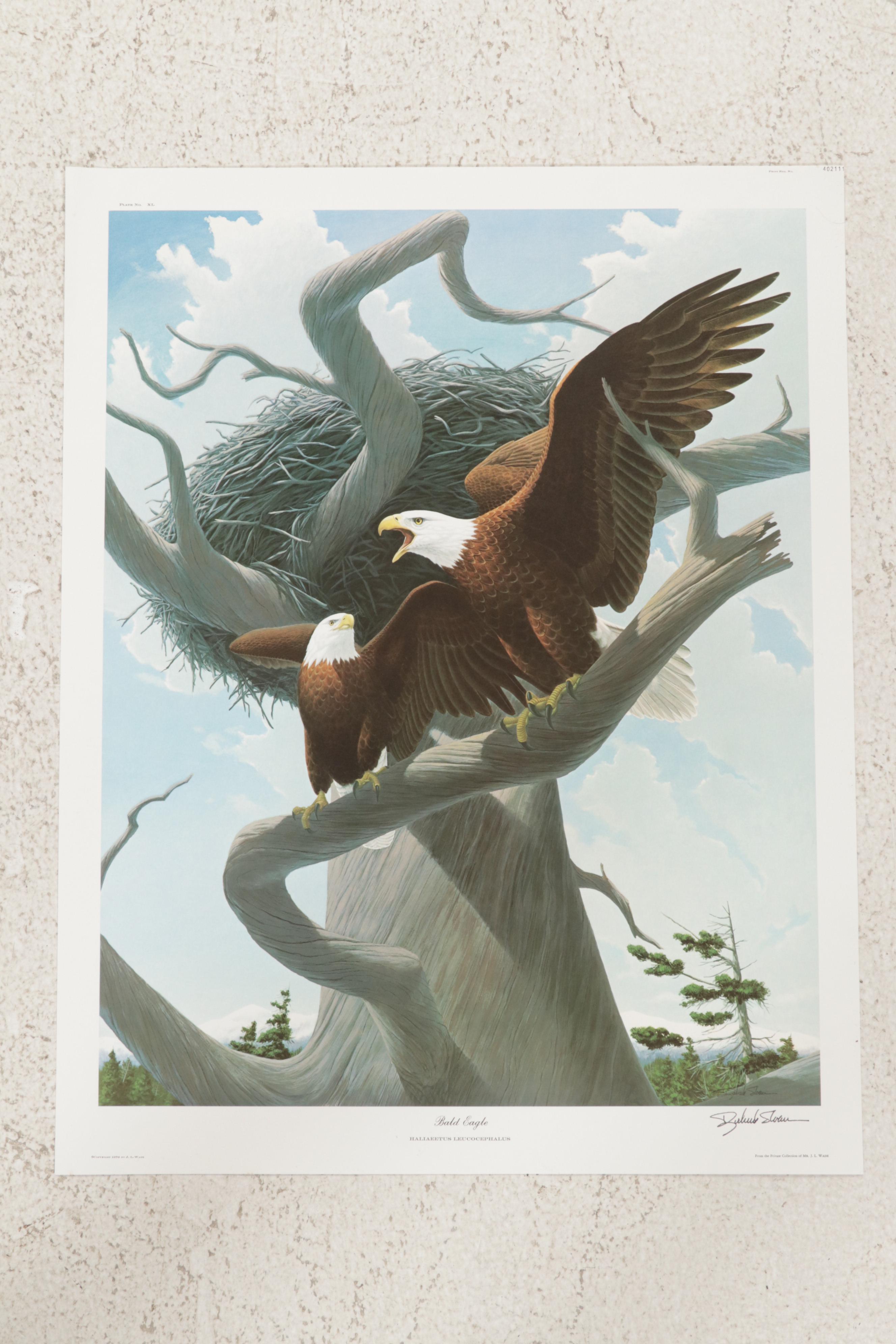 Ornithological Offset Lithograph Collection Featuring Ray Harm and Richard Sloan