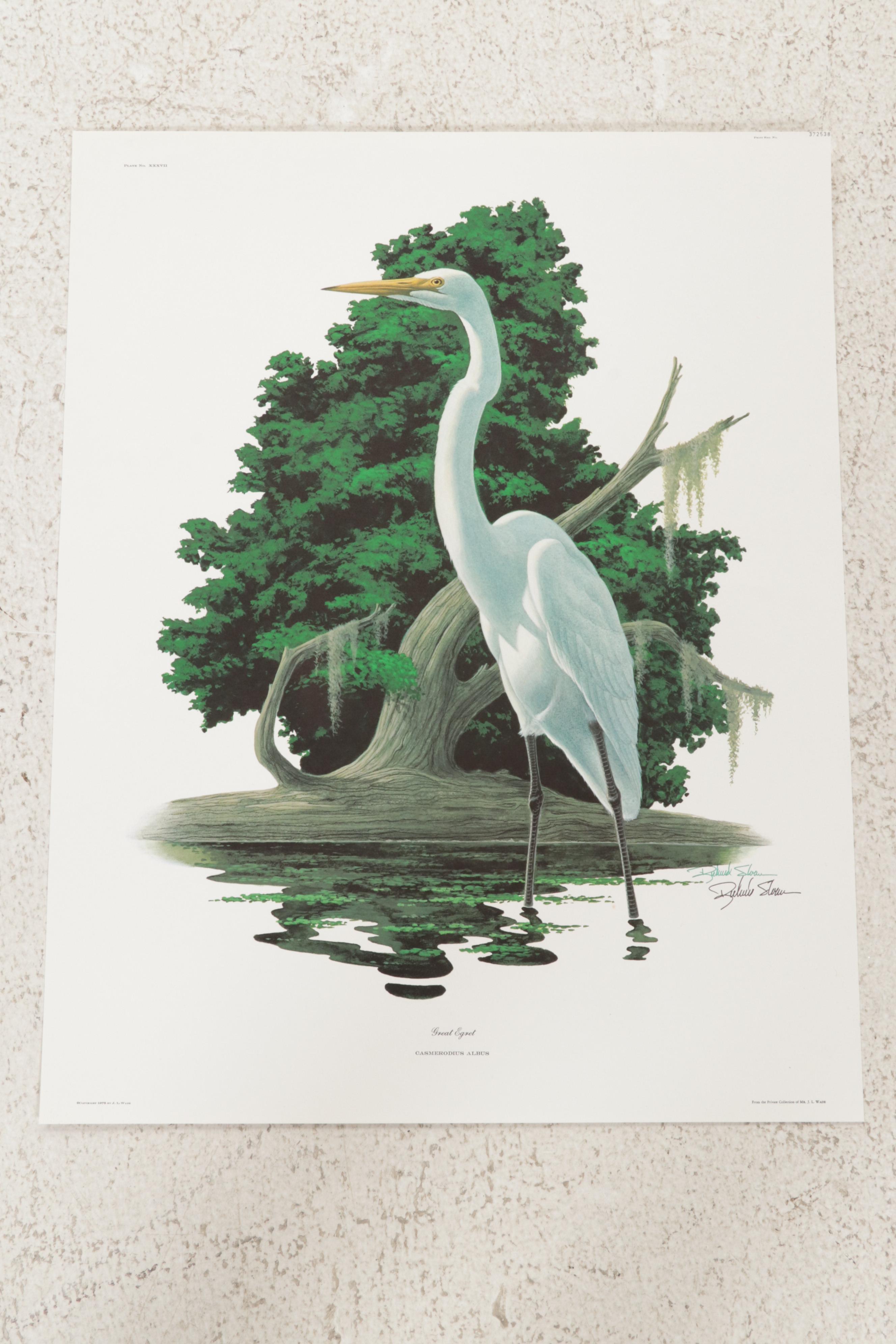 Ornithological Offset Lithograph Collection Featuring Ray Harm and Richard Sloan