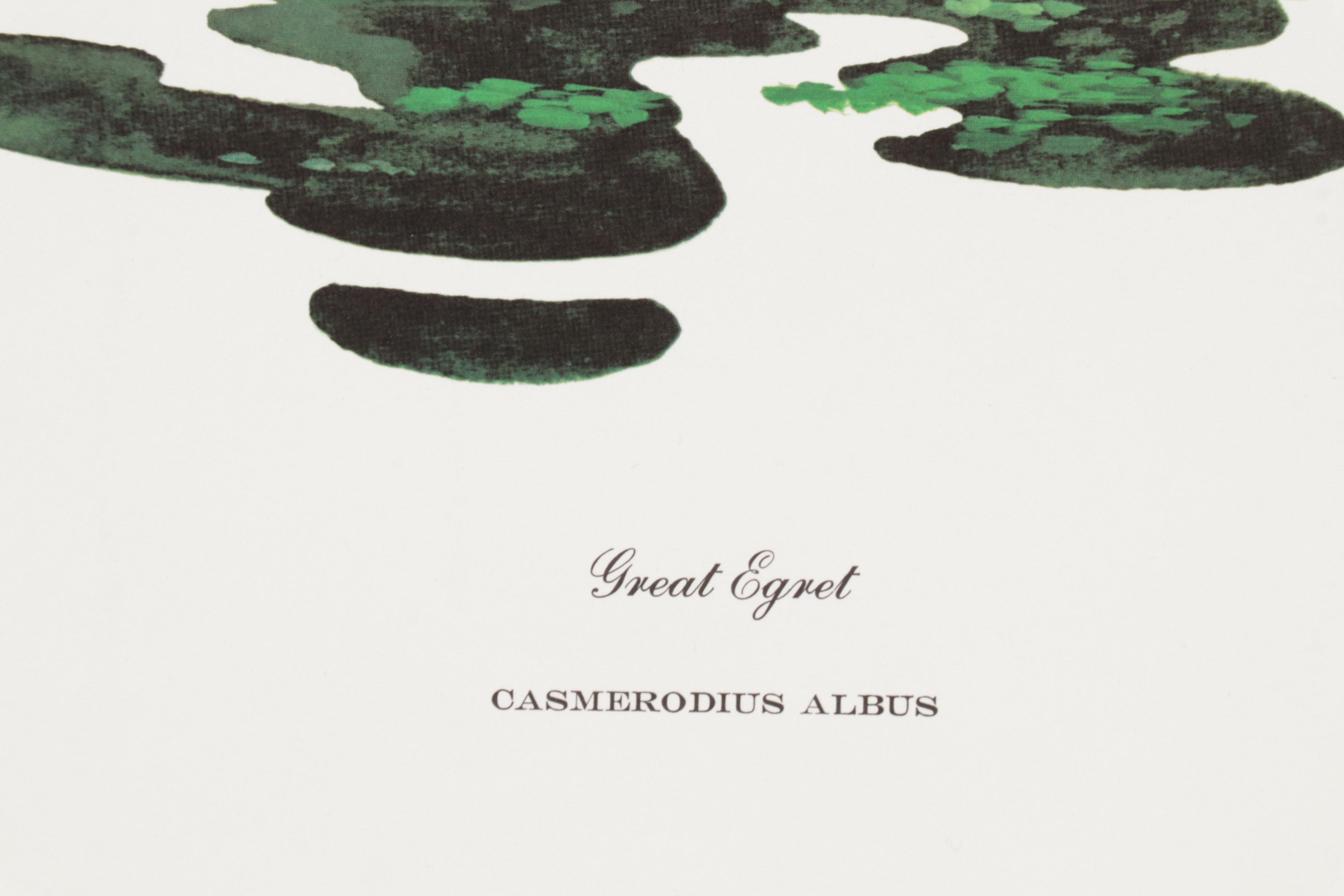 Ornithological Offset Lithograph Collection Featuring Ray Harm and Richard Sloan