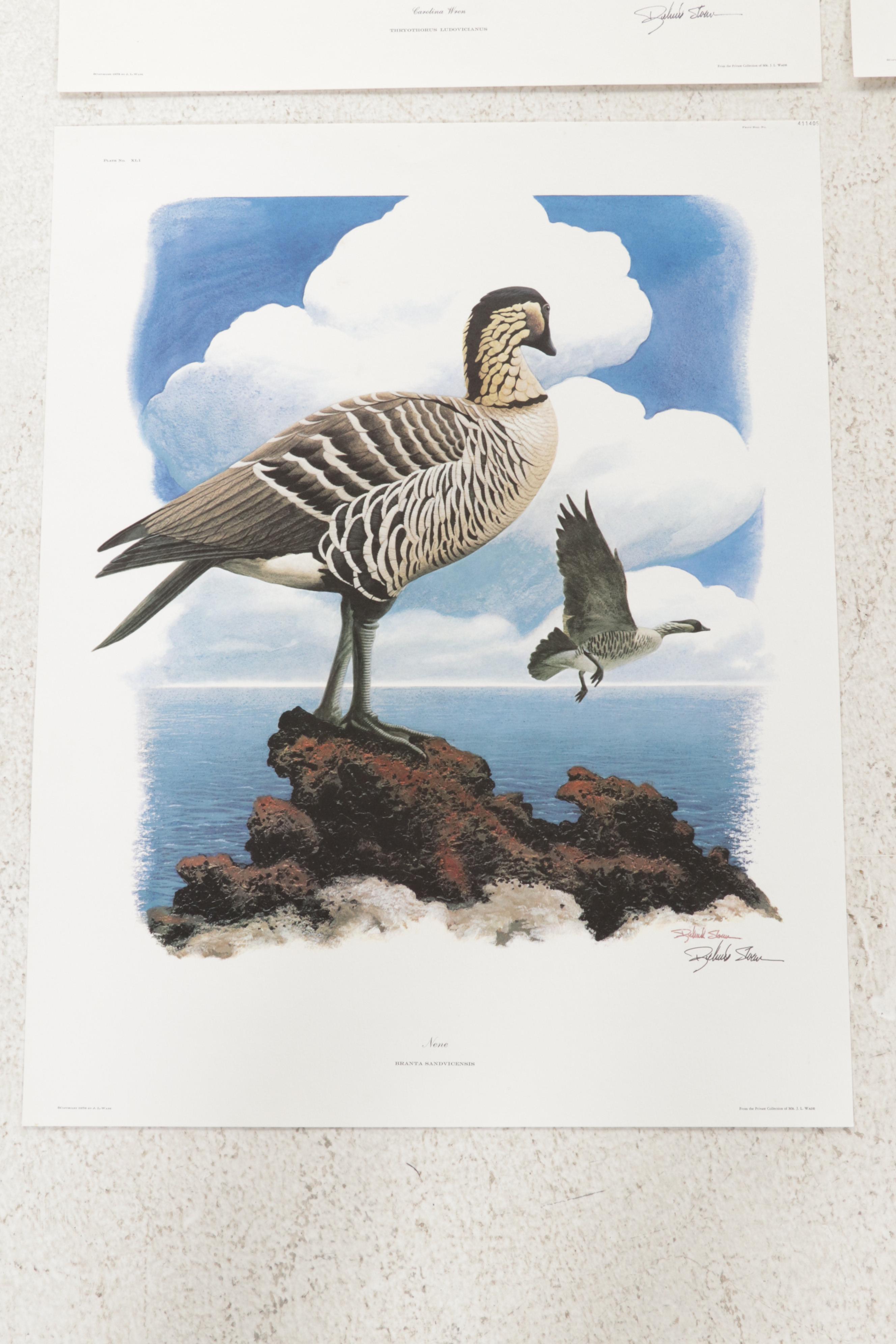 Ornithological Offset Lithograph Collection Featuring Ray Harm and Richard Sloan