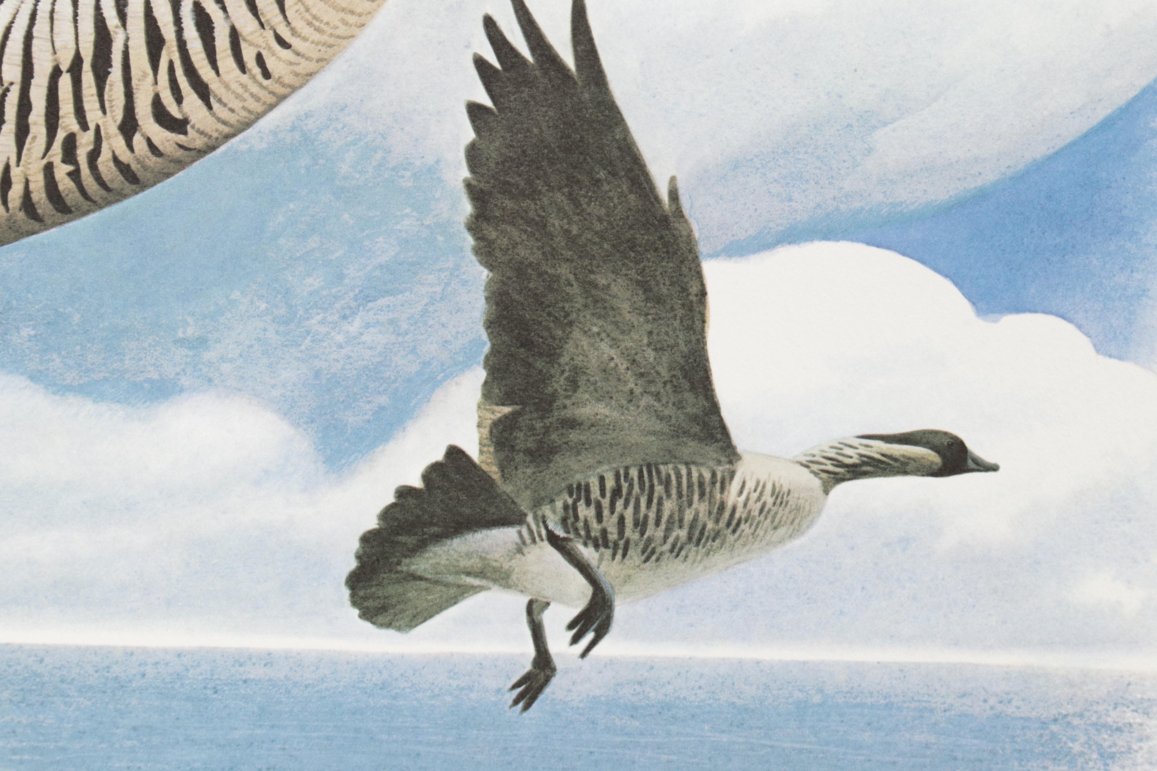 Ornithological Offset Lithograph Collection Featuring Ray Harm and Richard Sloan