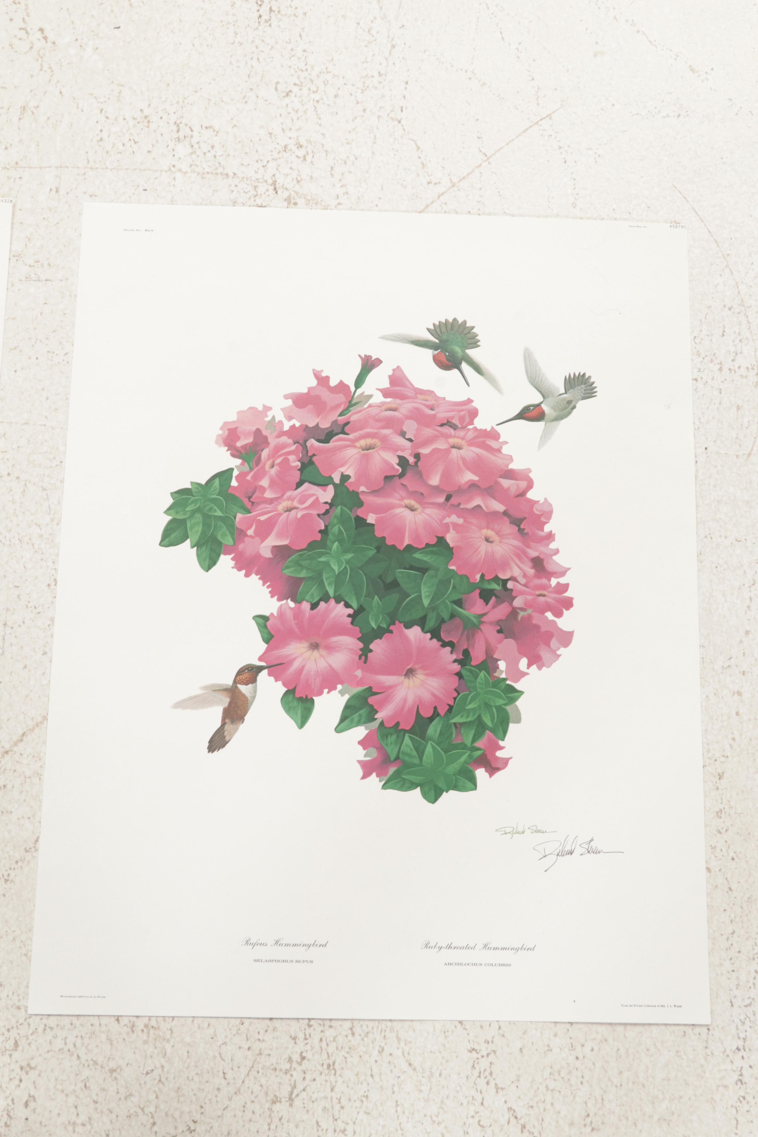 Ornithological Offset Lithograph Collection Featuring Ray Harm and Richard Sloan