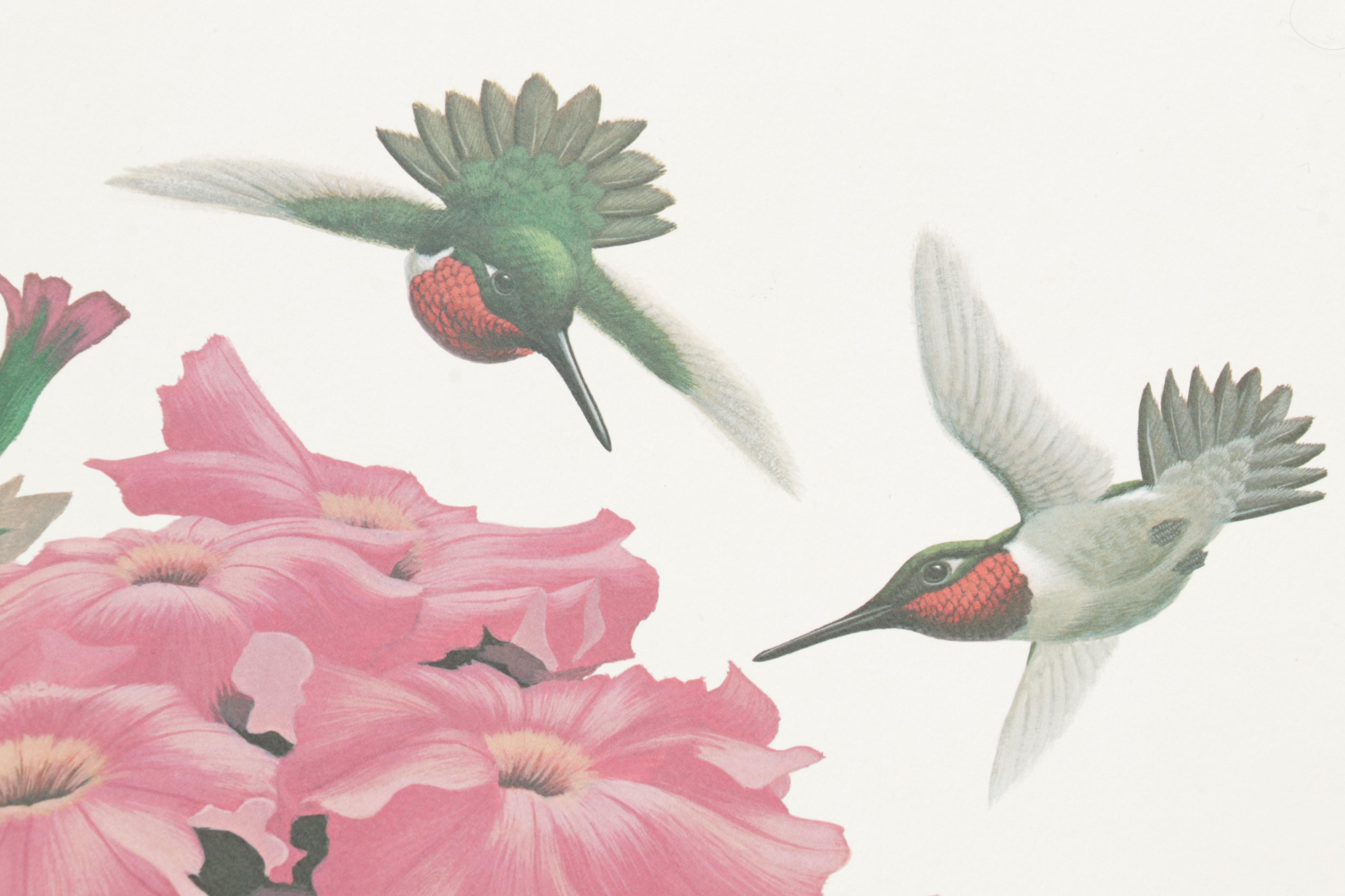 Ornithological Offset Lithograph Collection Featuring Ray Harm and Richard Sloan