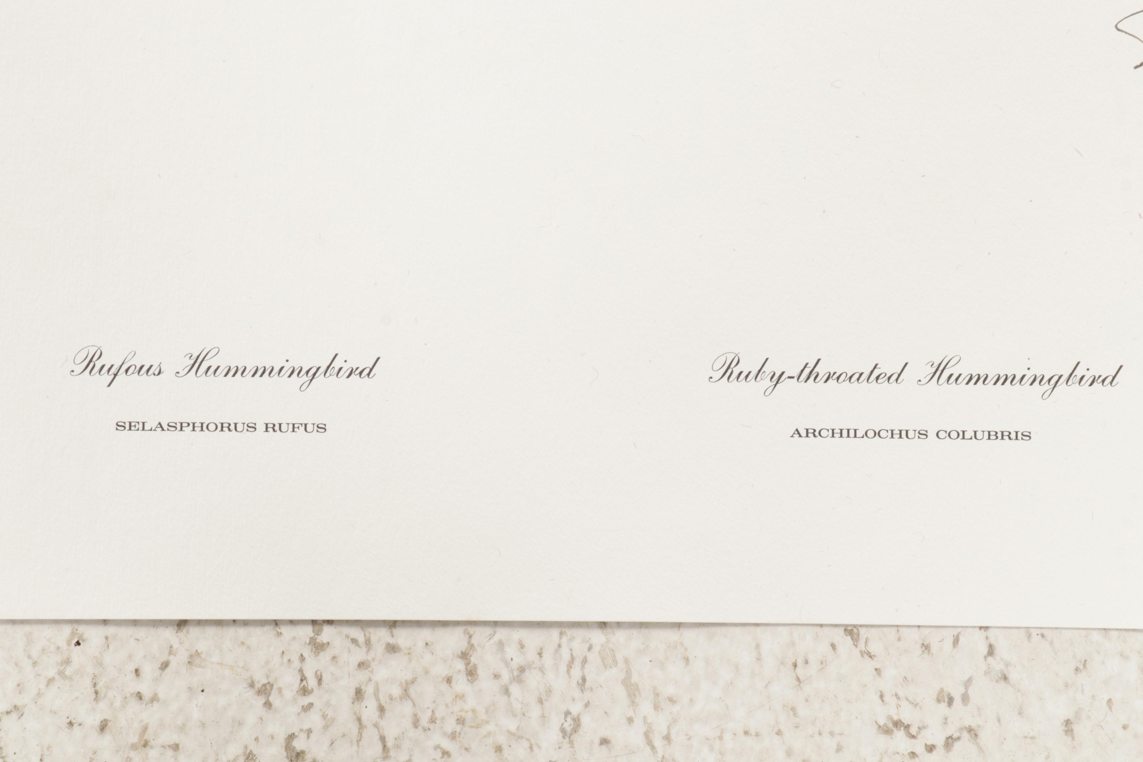 Ornithological Offset Lithograph Collection Featuring Ray Harm and Richard Sloan