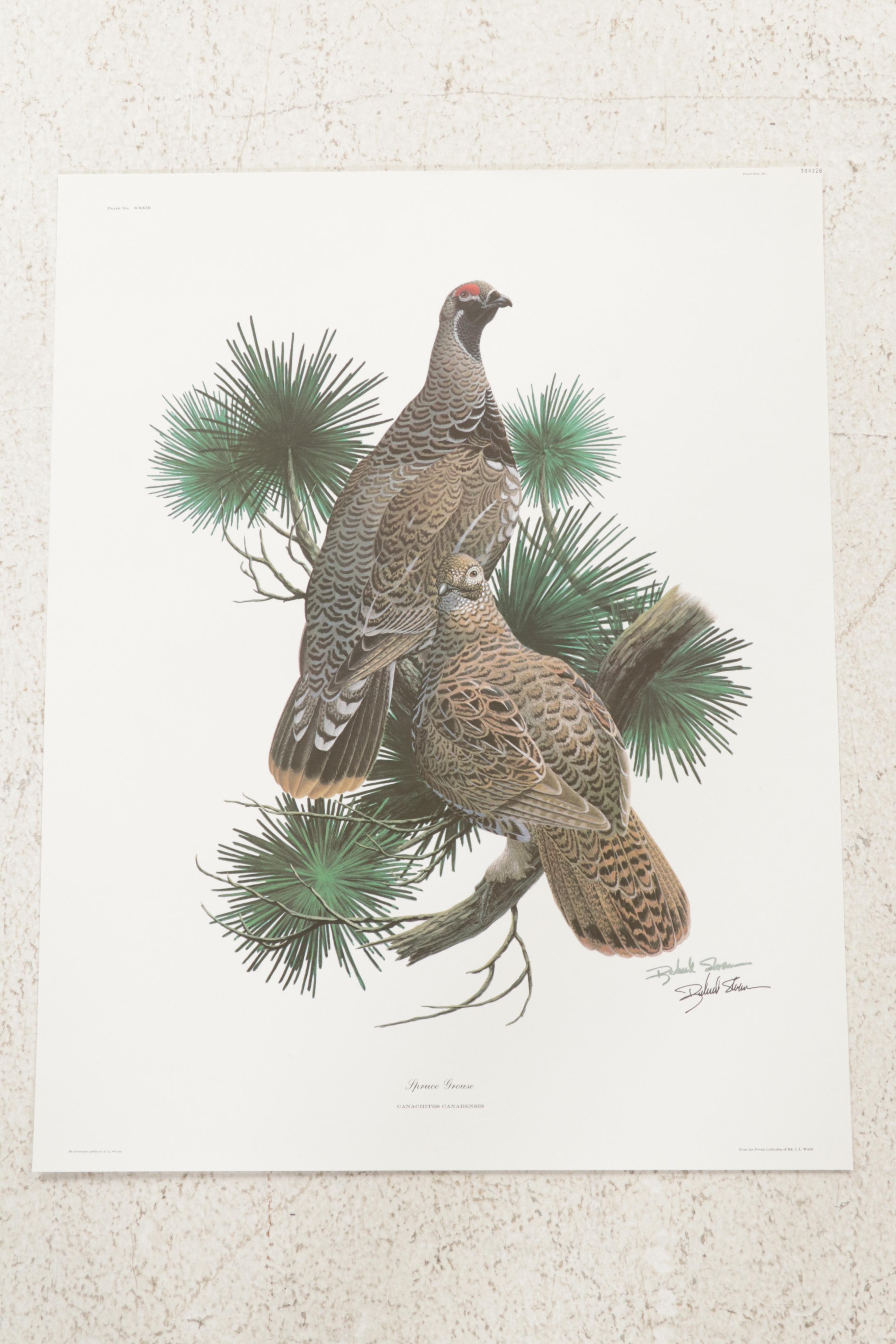 Ornithological Offset Lithograph Collection Featuring Ray Harm and Richard Sloan