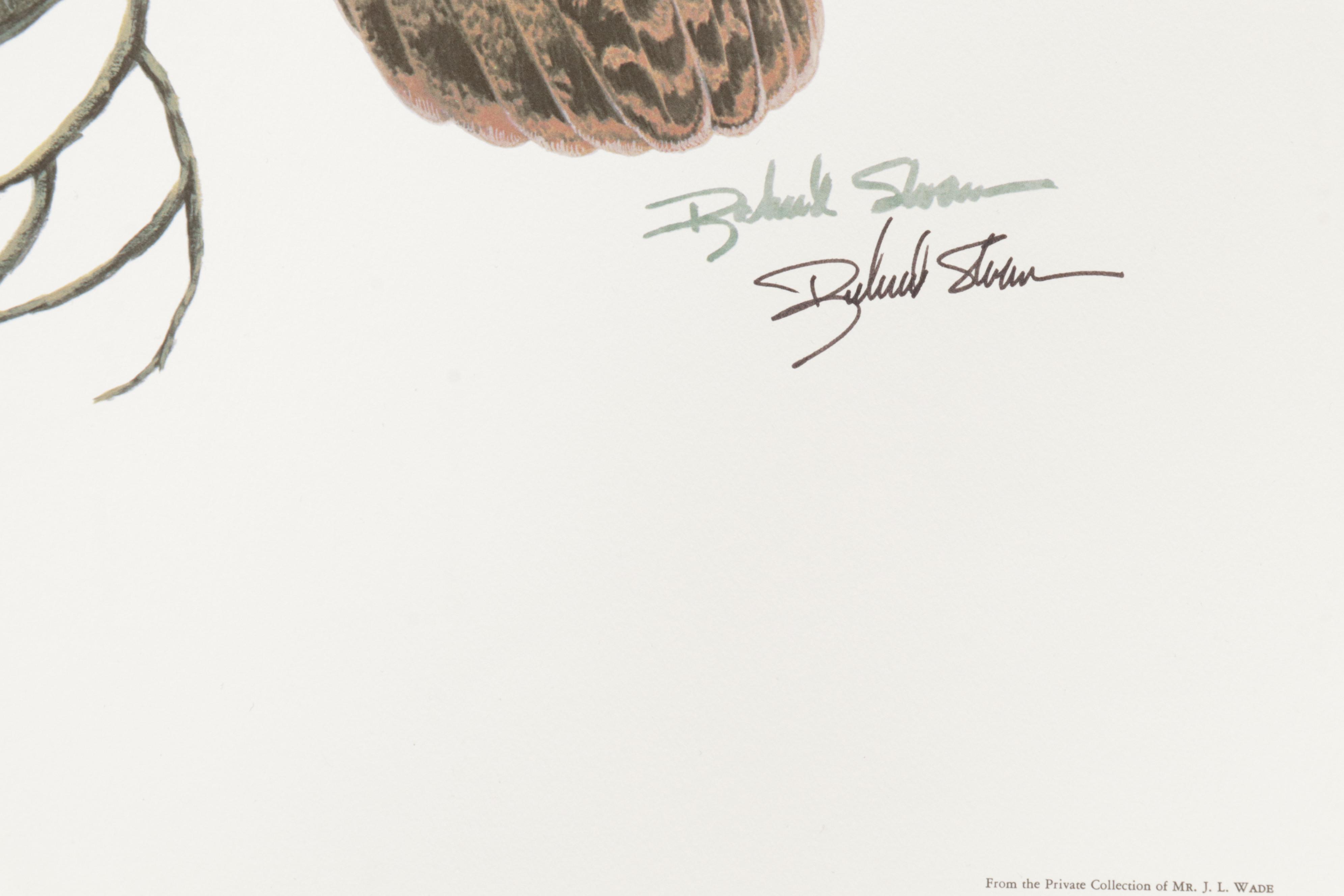 Ornithological Offset Lithograph Collection Featuring Ray Harm and Richard Sloan