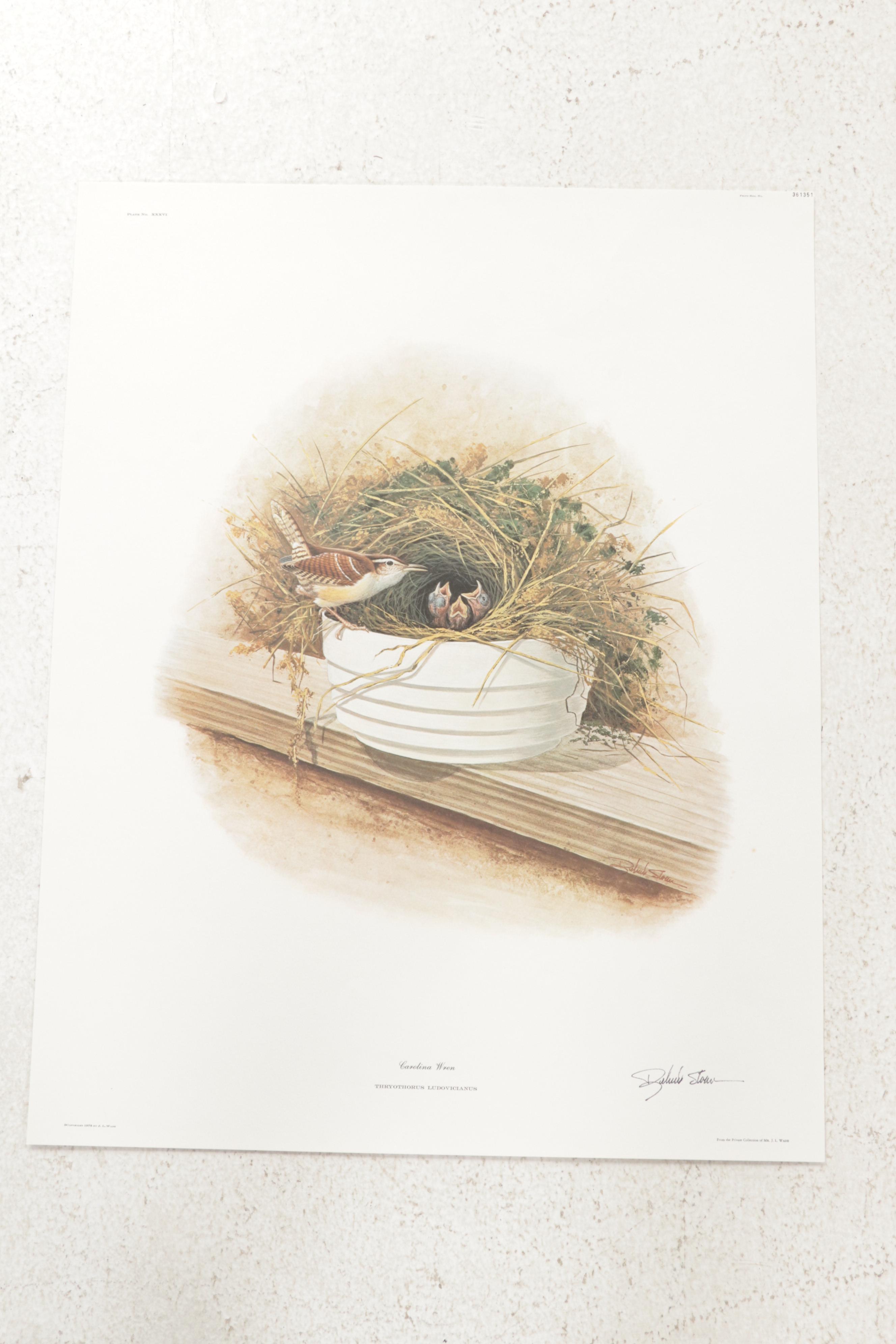 Ornithological Offset Lithograph Collection Featuring Ray Harm and Richard Sloan