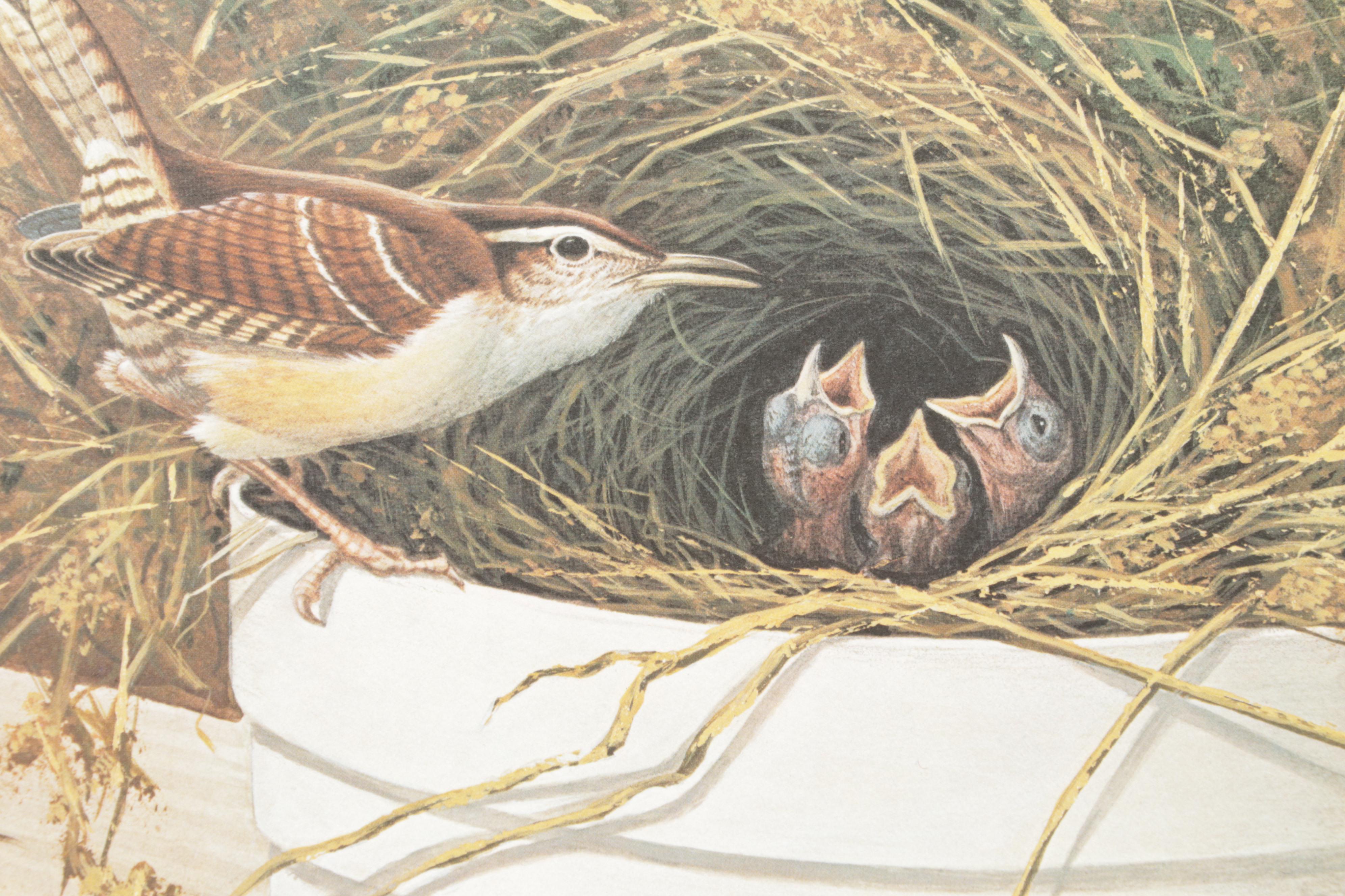 Ornithological Offset Lithograph Collection Featuring Ray Harm and Richard Sloan