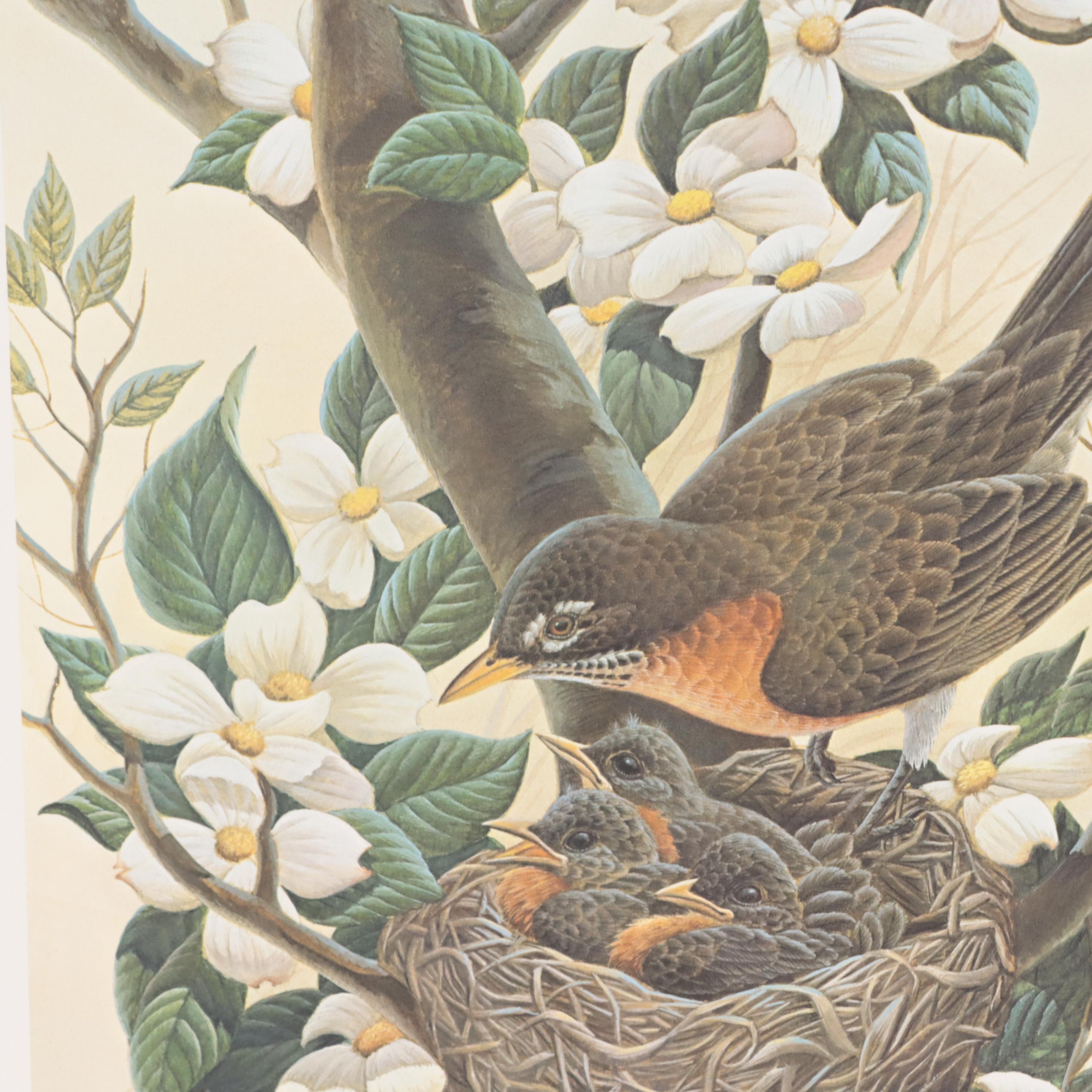 John A. Ruthven Offset Lithograph "Robin Family," Circa 1981