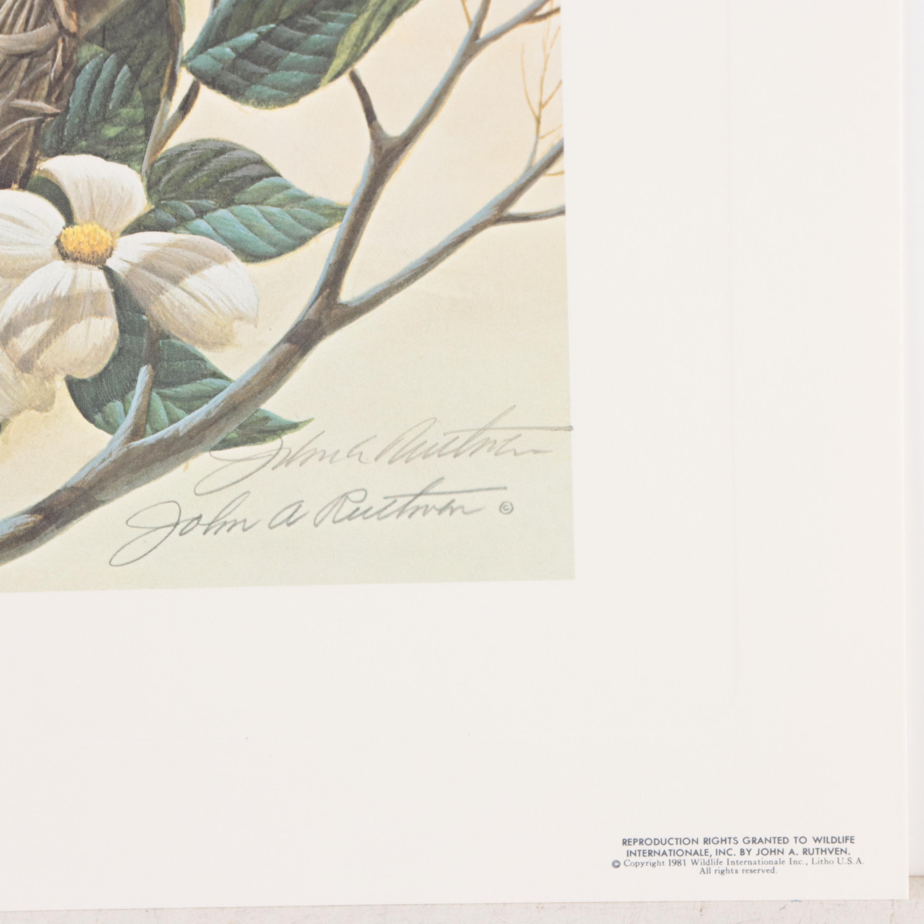 John A. Ruthven Offset Lithograph "Robin Family," Circa 1981