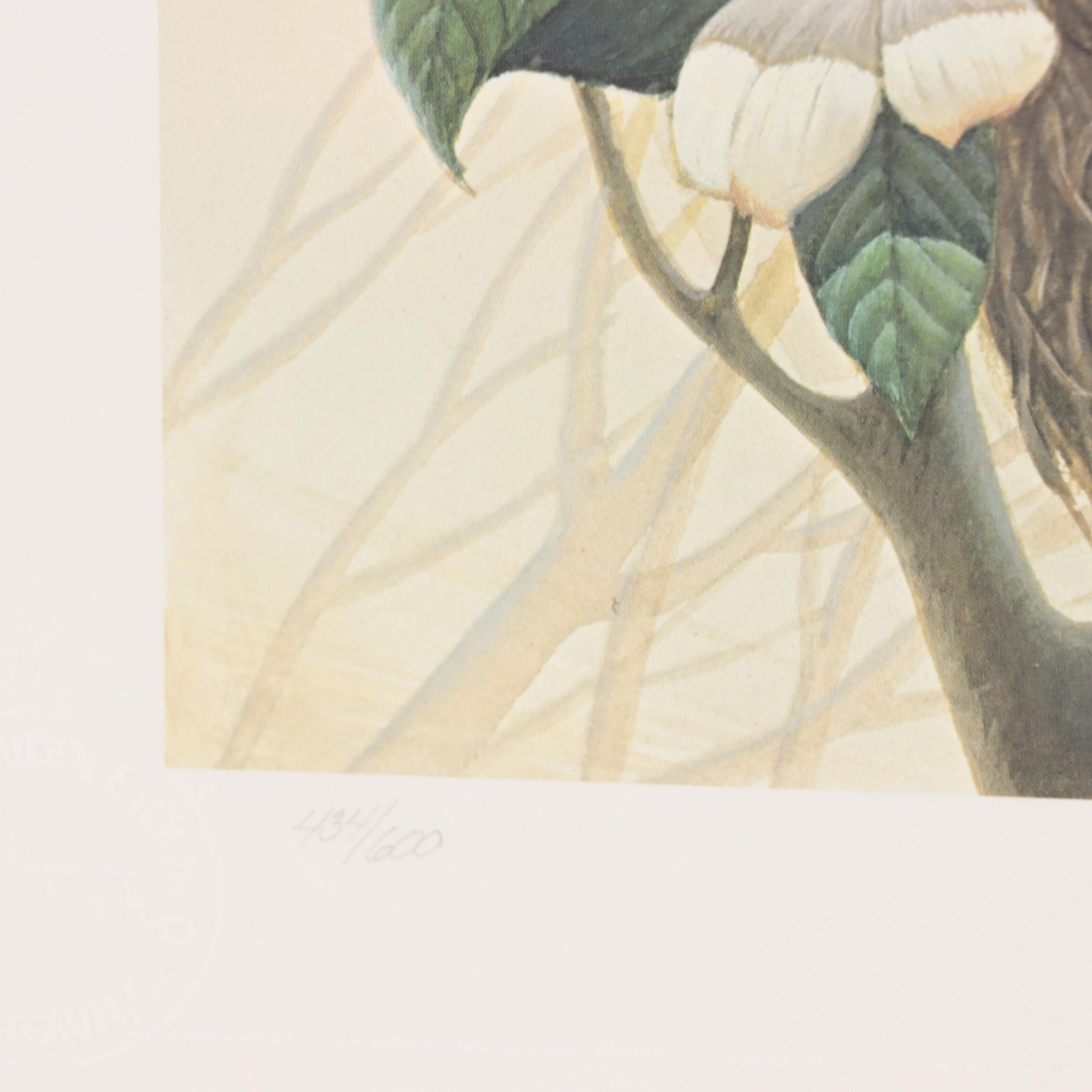 John A. Ruthven Offset Lithograph "Robin Family," Circa 1981