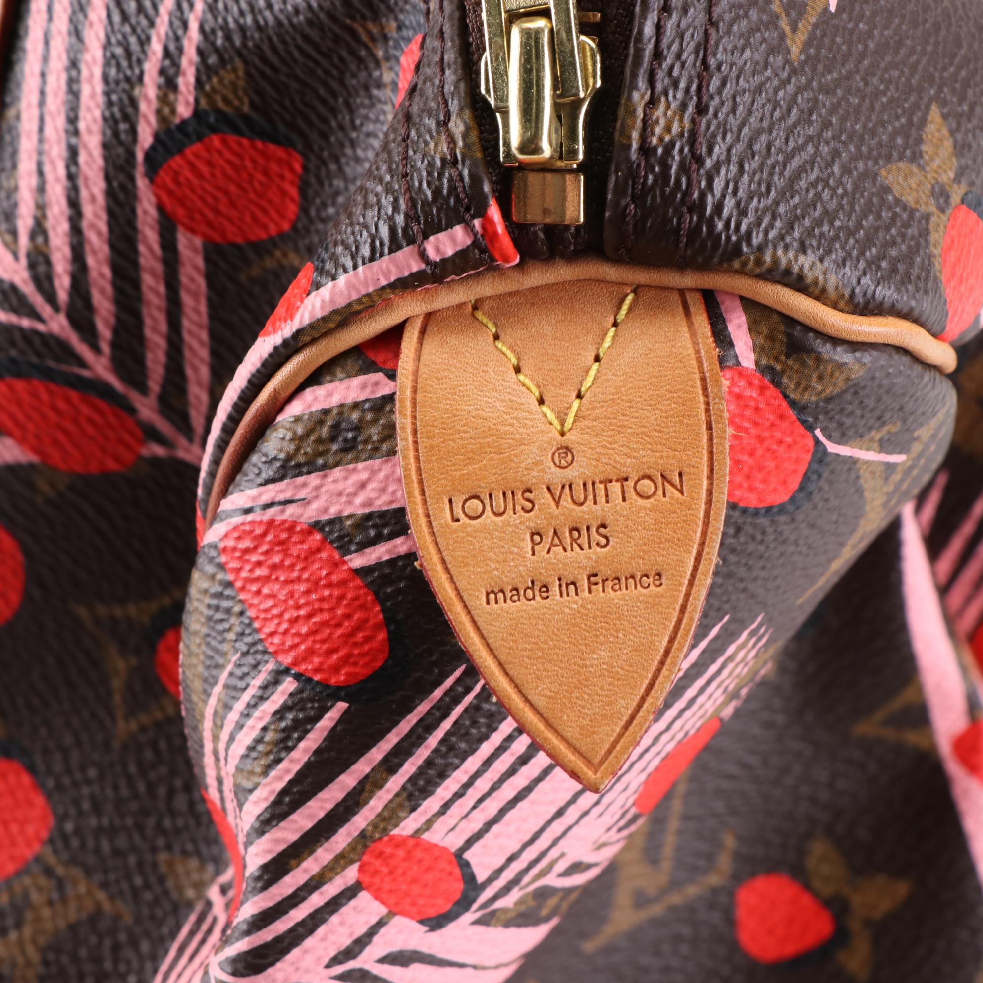 Louis Vuitton Limited Edition Speedy 30 in Jungle Dots Monogram Canvas
