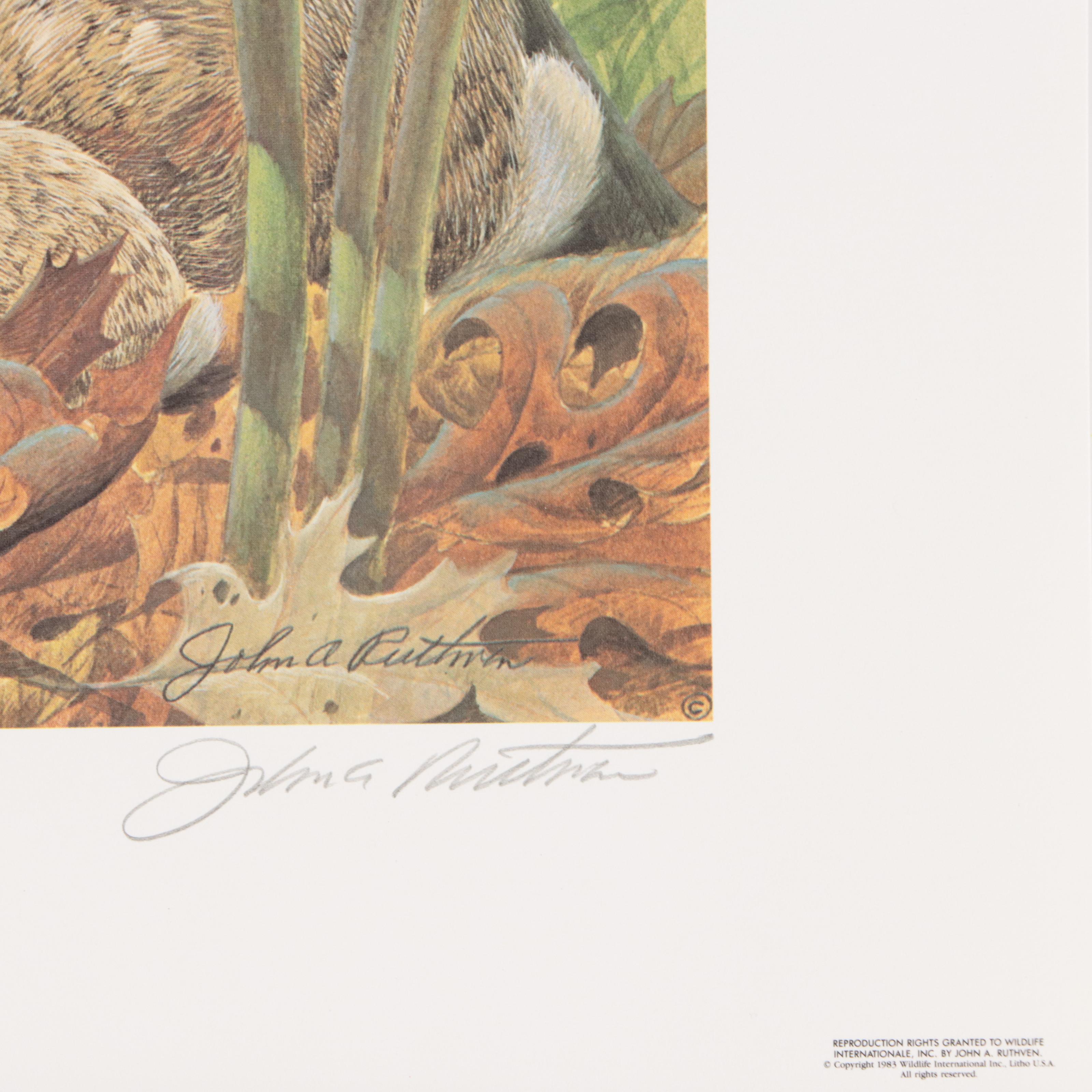 John A. Ruthven and James Lockhart Animal Offset Lithographs