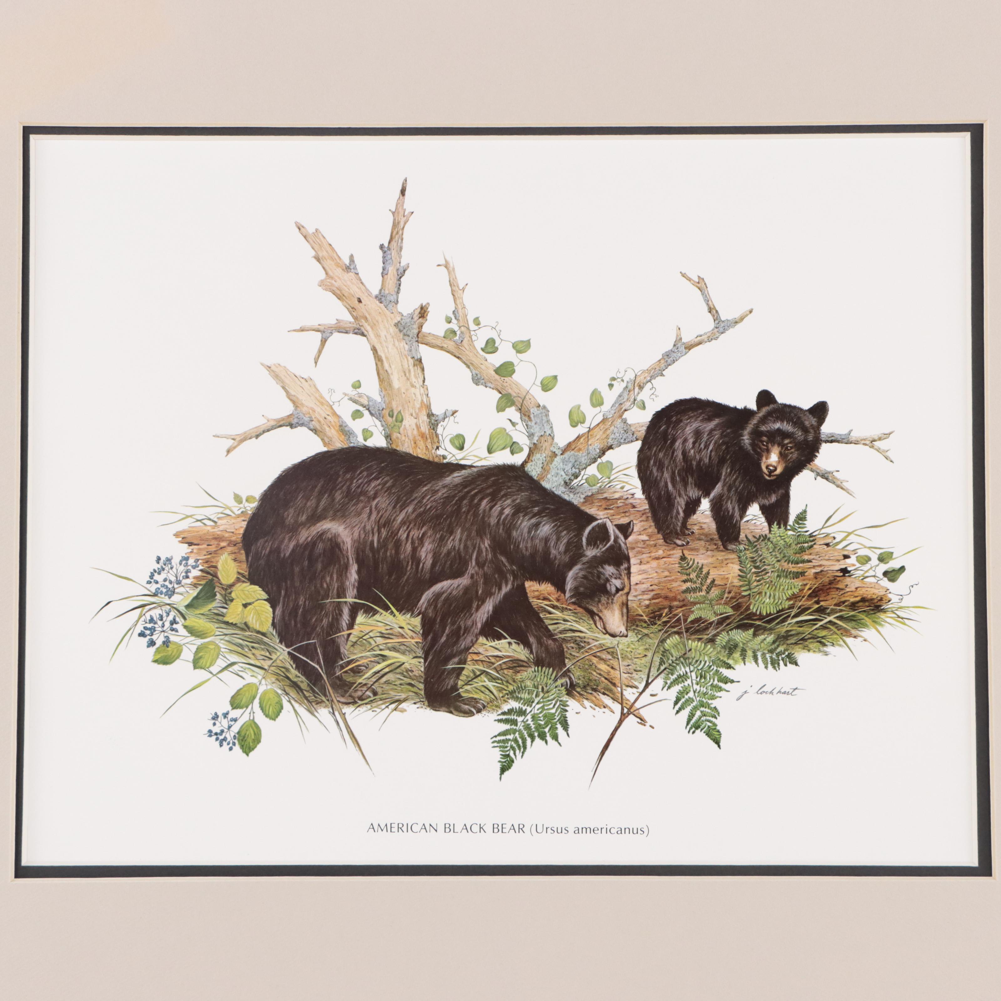 John A. Ruthven and James Lockhart Animal Offset Lithographs