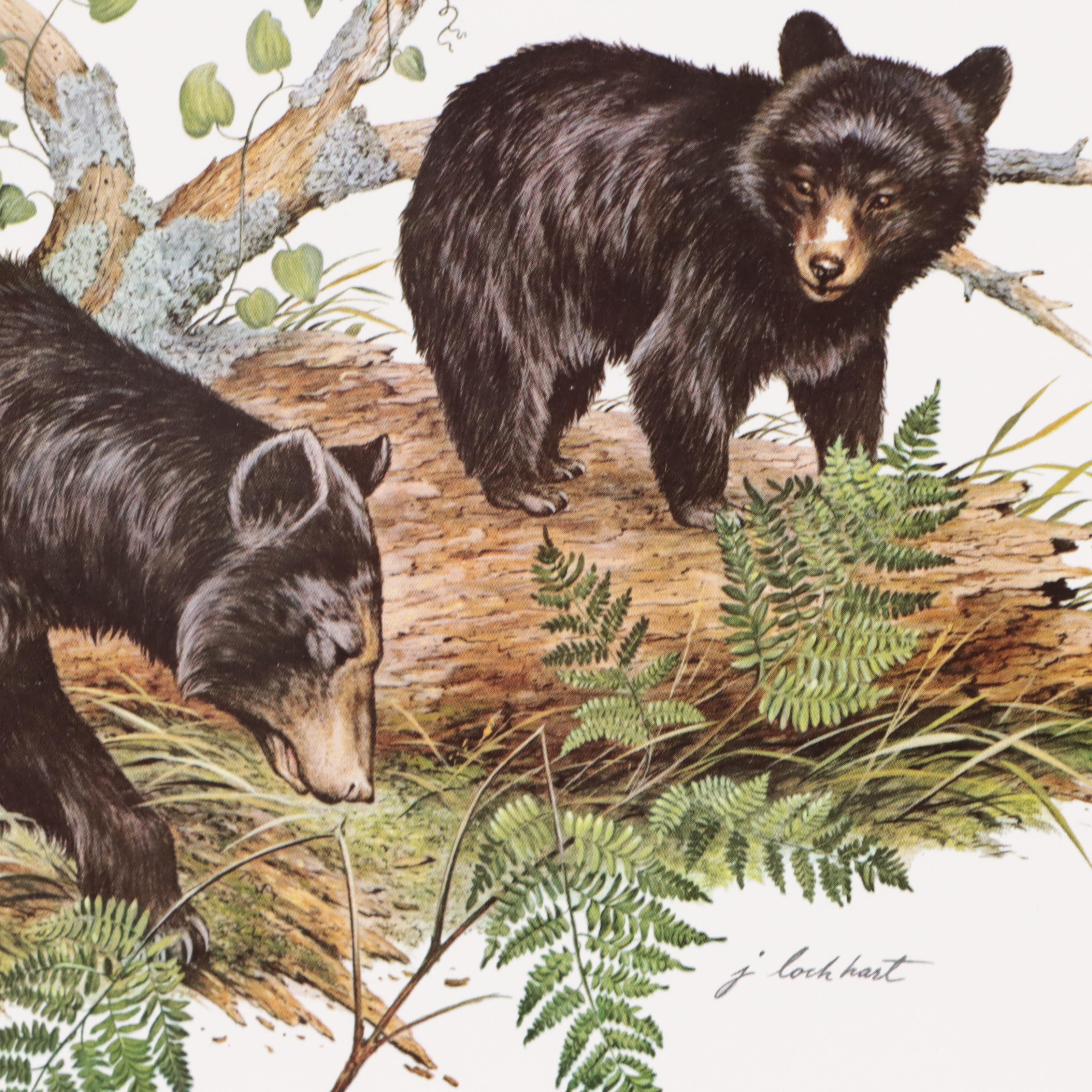 John A. Ruthven and James Lockhart Animal Offset Lithographs