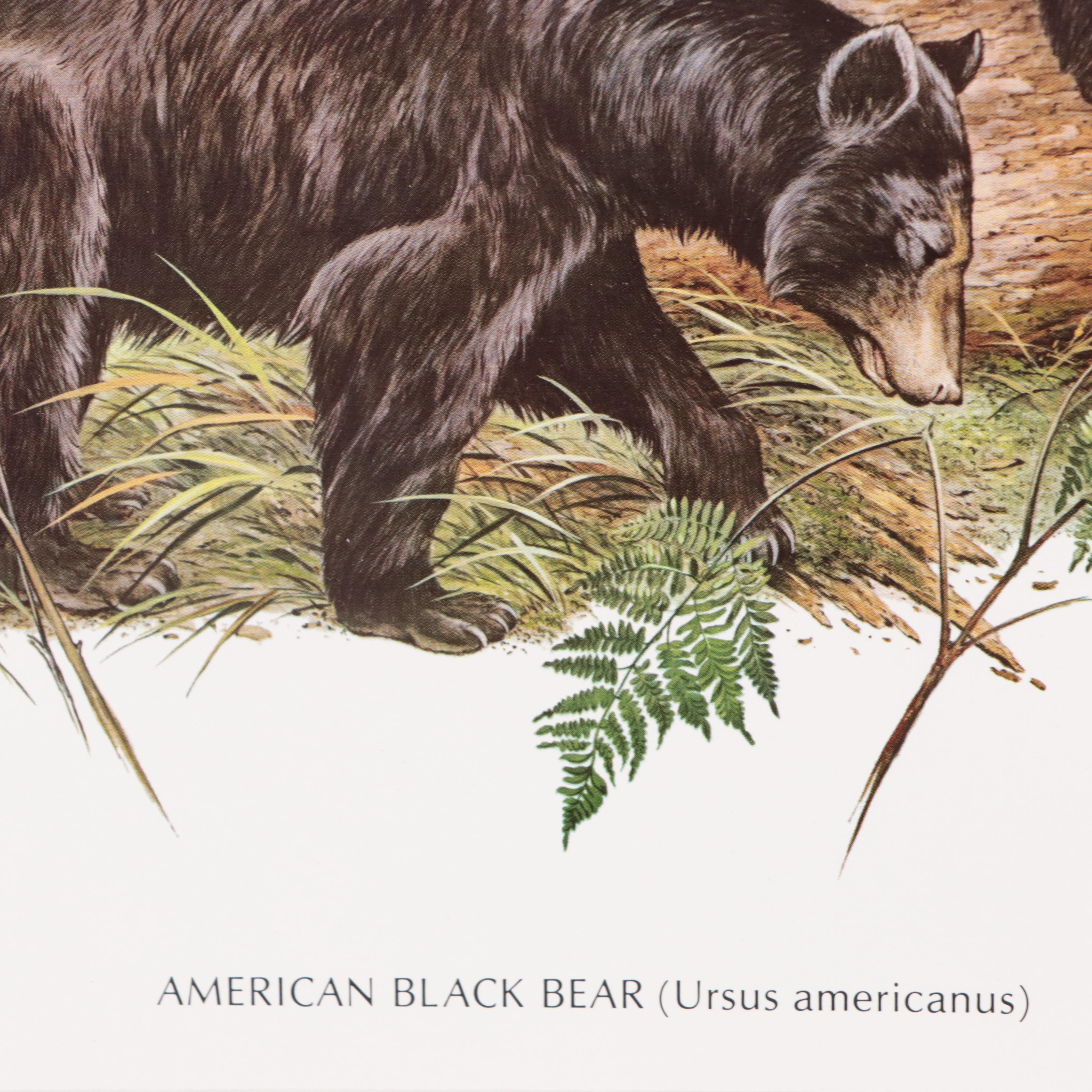 John A. Ruthven and James Lockhart Animal Offset Lithographs