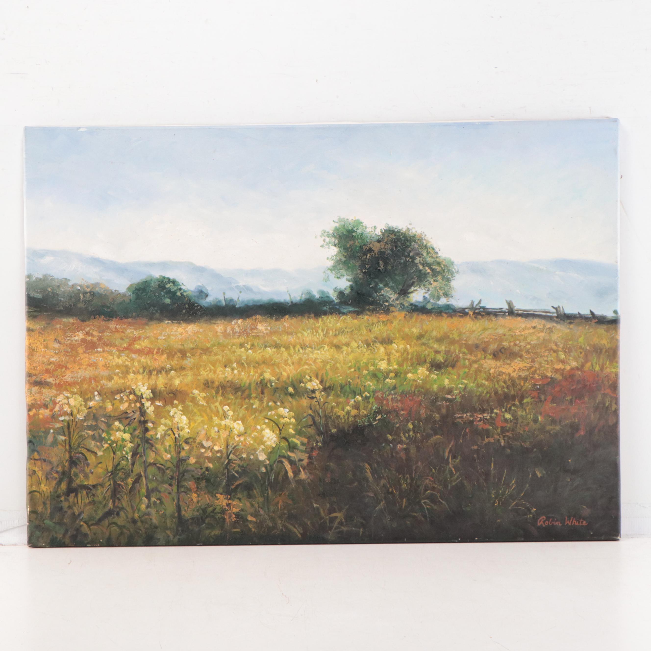 Robin White Field Landscape Oil Painting, 21st Century