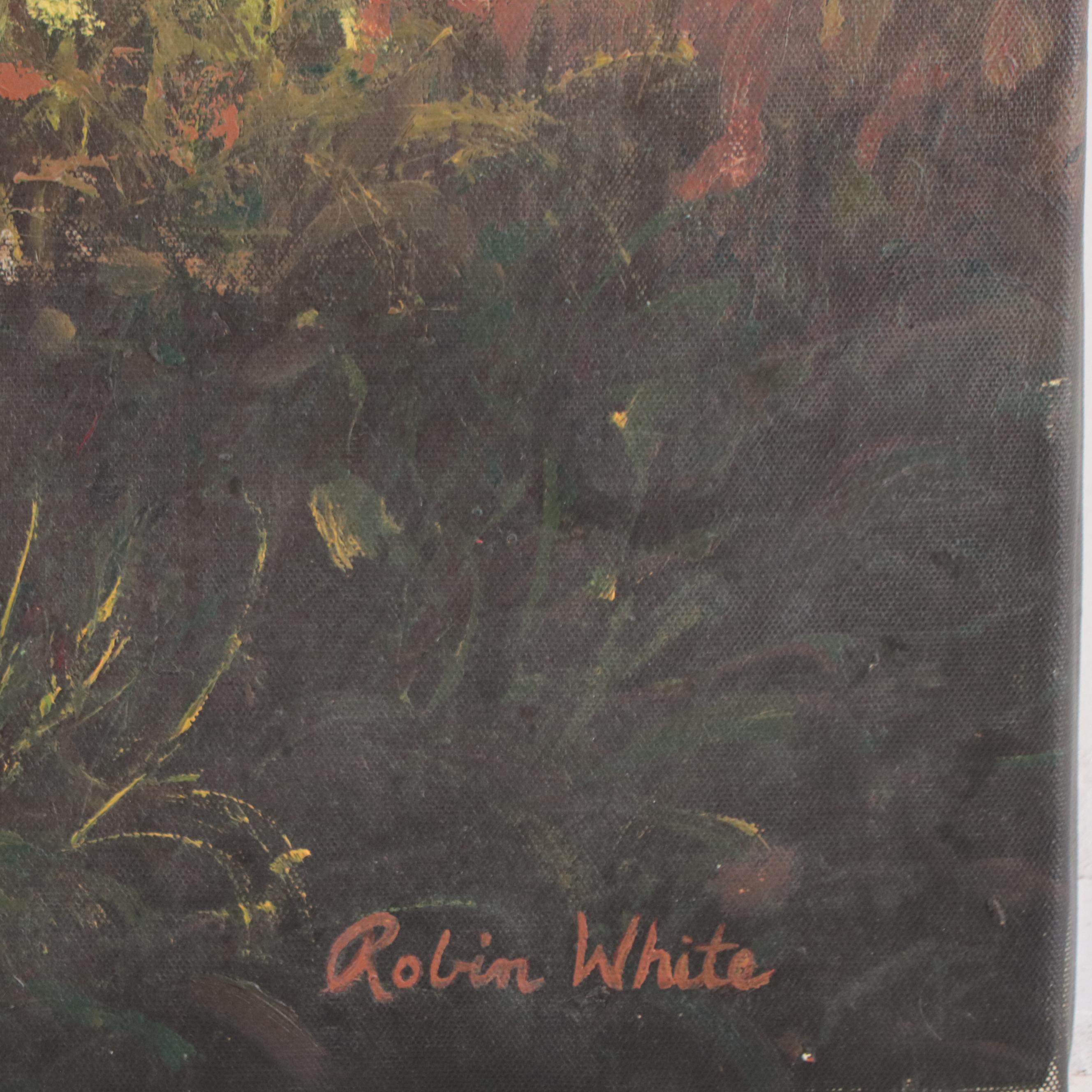 Robin White Field Landscape Oil Painting, 21st Century