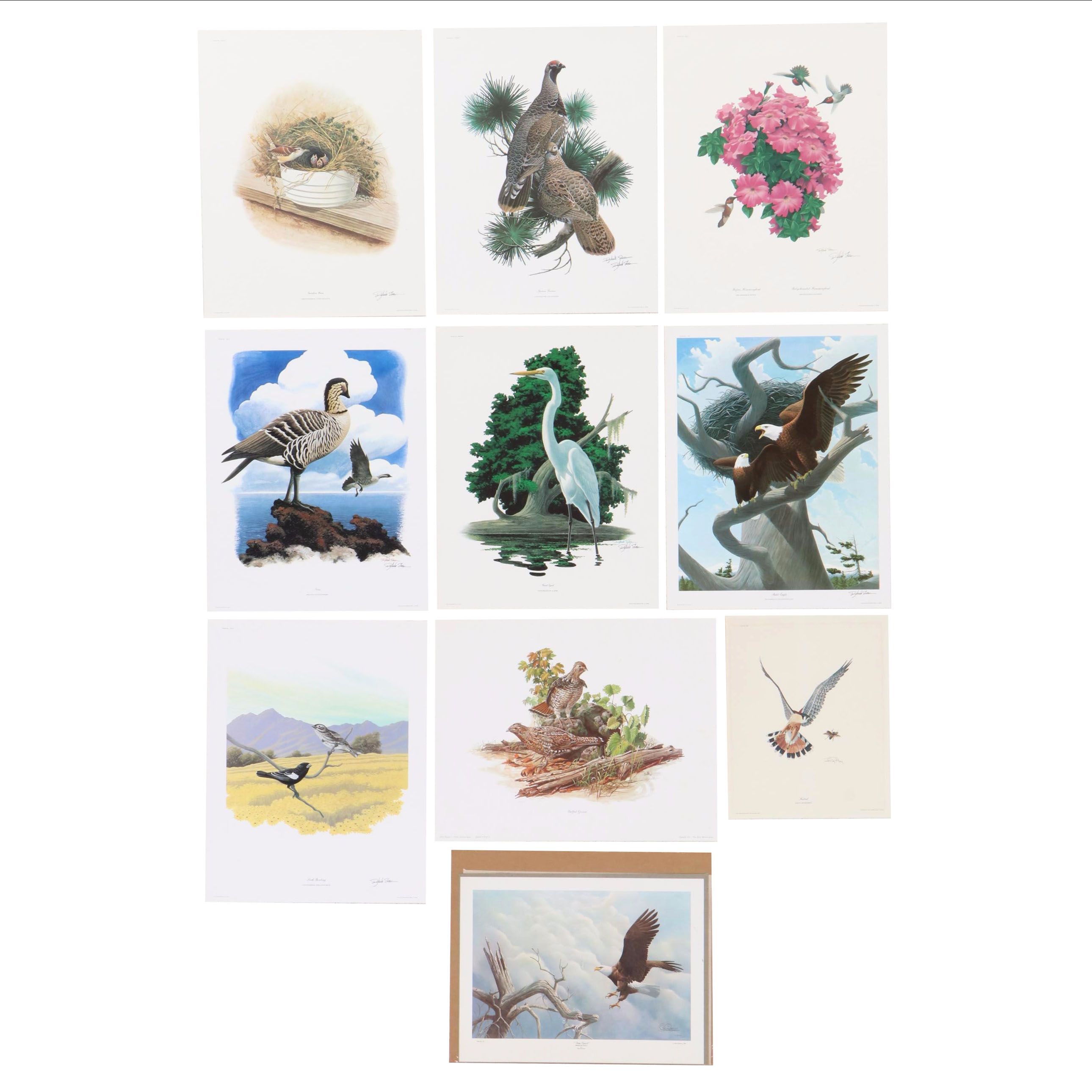 Ornithological Offset Lithograph Collection Featuring Ray Harm and Richard Sloan