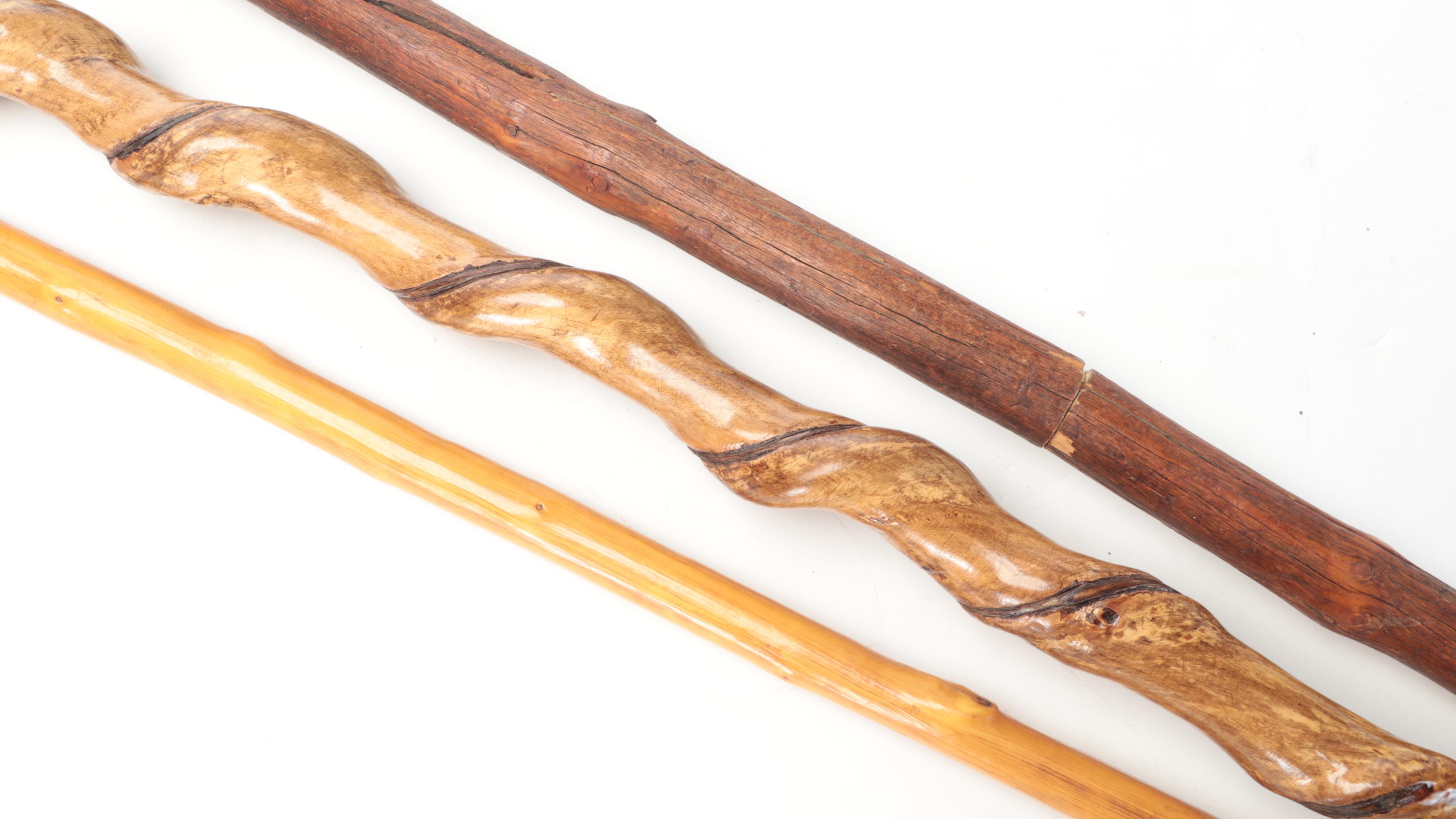 Hand-Carved Wooden Canes Including Thornwood and Bentwood