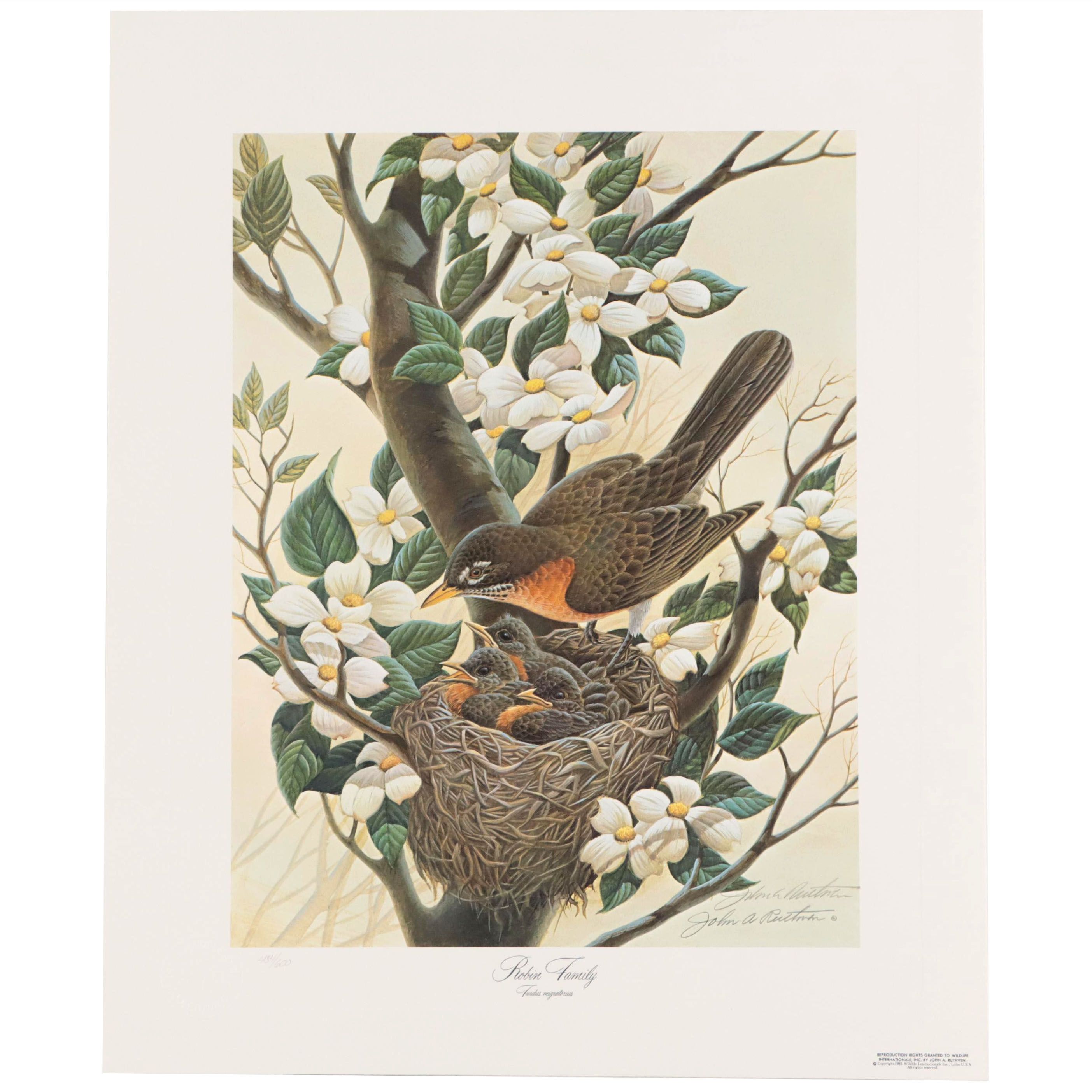 John A. Ruthven Offset Lithograph "Robin Family," Circa 1981