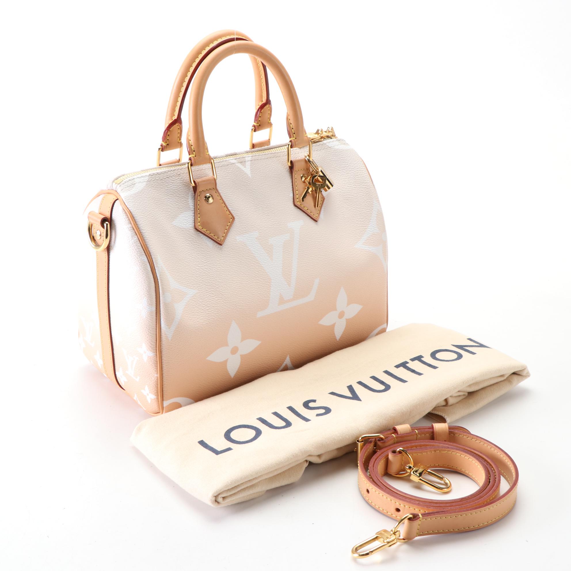 Louis Vuitton Speedy Bandoulière 25 in By The Pool Monogram Giant Canvas