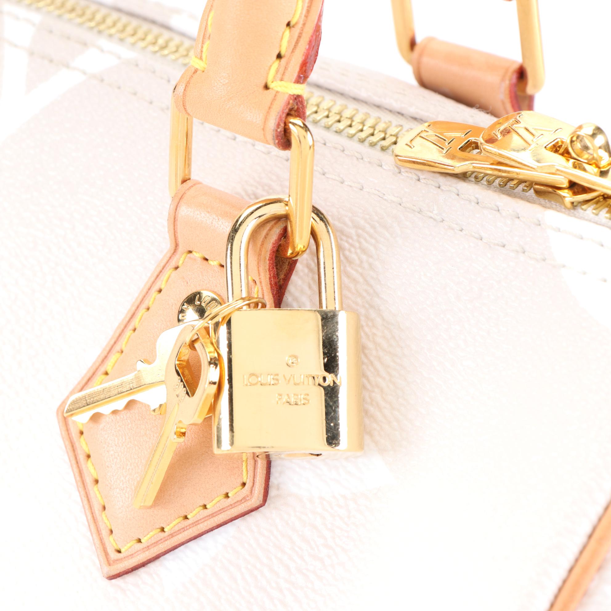 Louis Vuitton Speedy Bandoulière 25 in By The Pool Monogram Giant Canvas