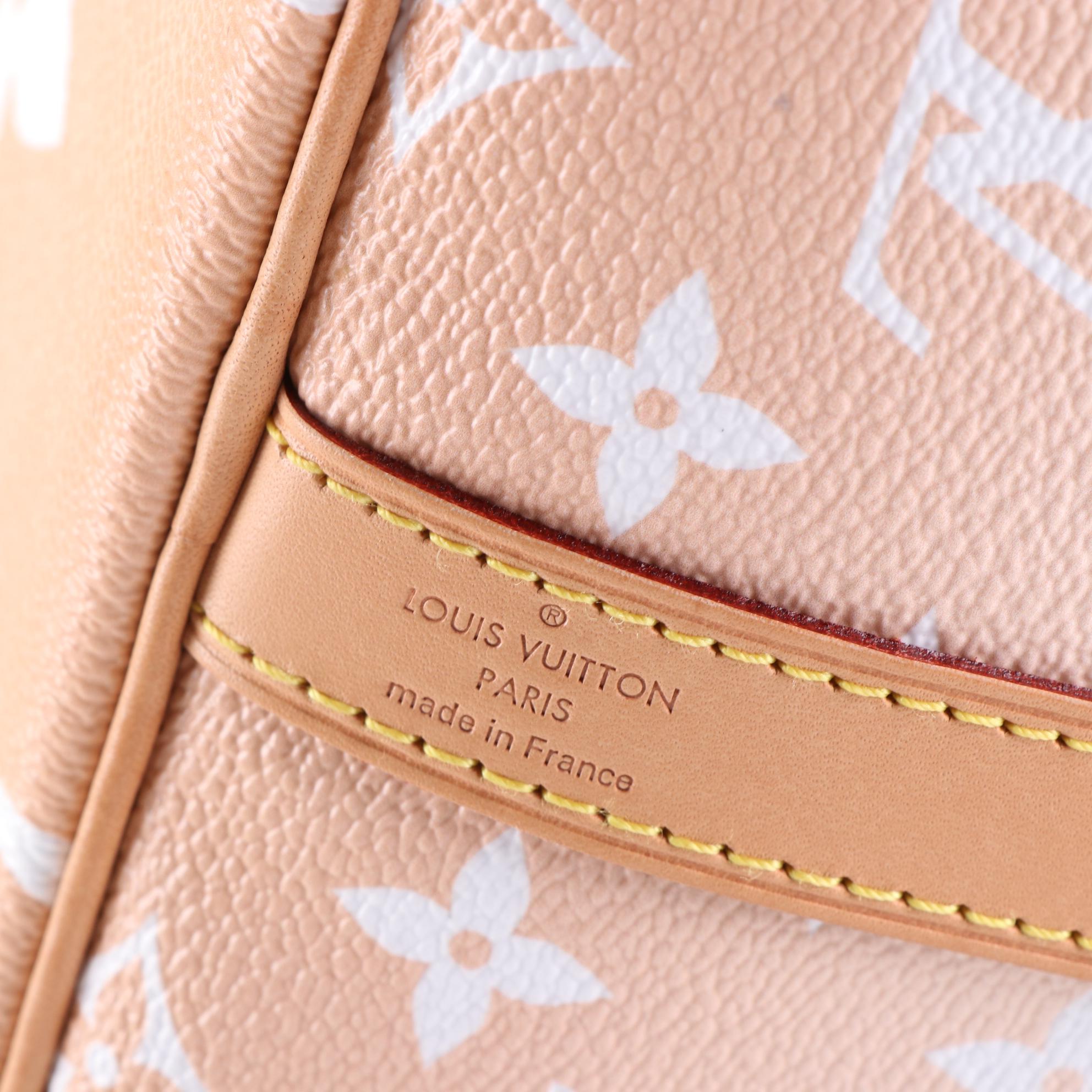 Louis Vuitton Speedy Bandoulière 25 in By The Pool Monogram Giant Canvas