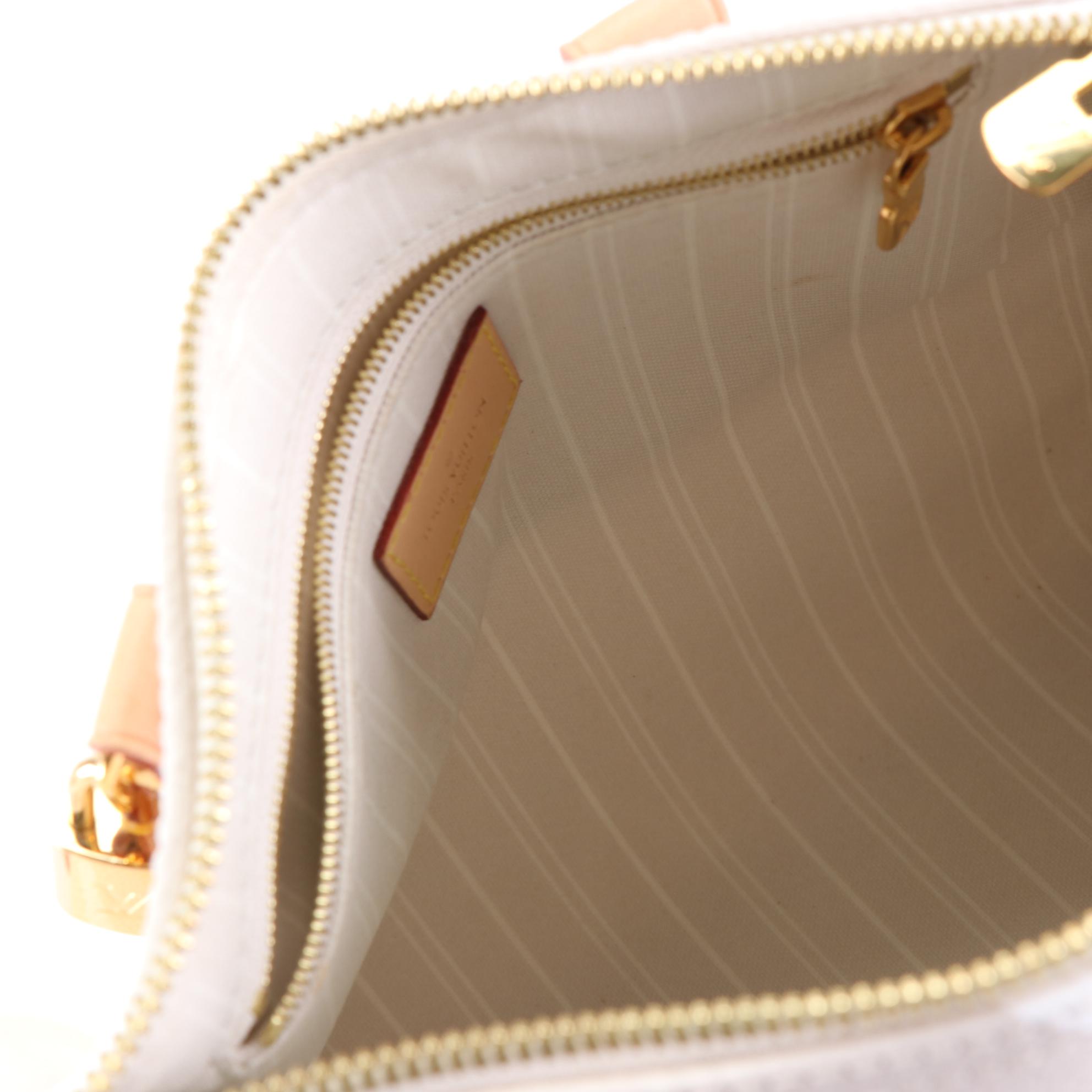 Louis Vuitton Speedy Bandoulière 25 in By The Pool Monogram Giant Canvas