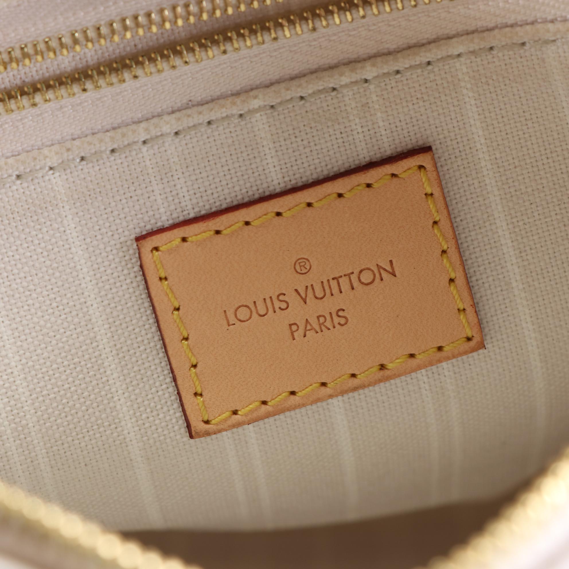 Louis Vuitton Speedy Bandoulière 25 in By The Pool Monogram Giant Canvas