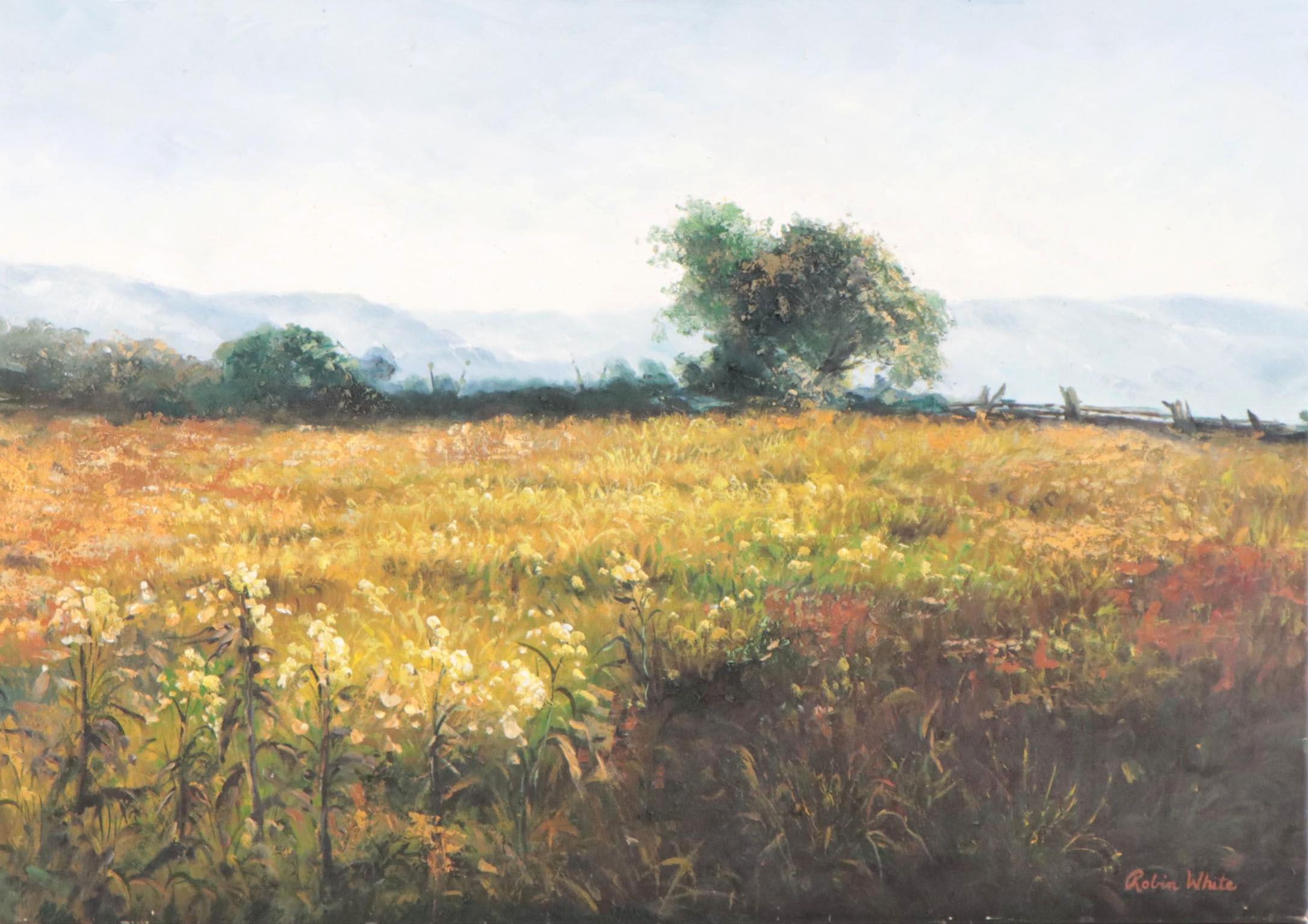 Robin White Field Landscape Oil Painting, 21st Century